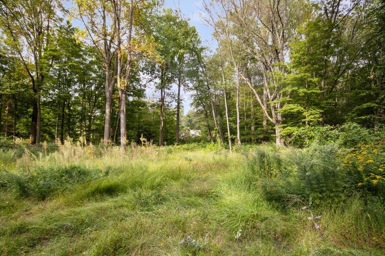 #1 photo, TBD Rt-9d, Garrison , NY 10524