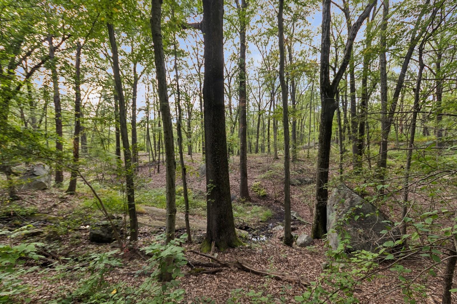 #10 photo, TBD Rt-9d, Garrison , NY 10524