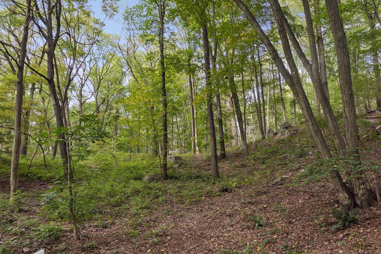 #5 photo, TBD Rt-9d, Garrison , NY 10524