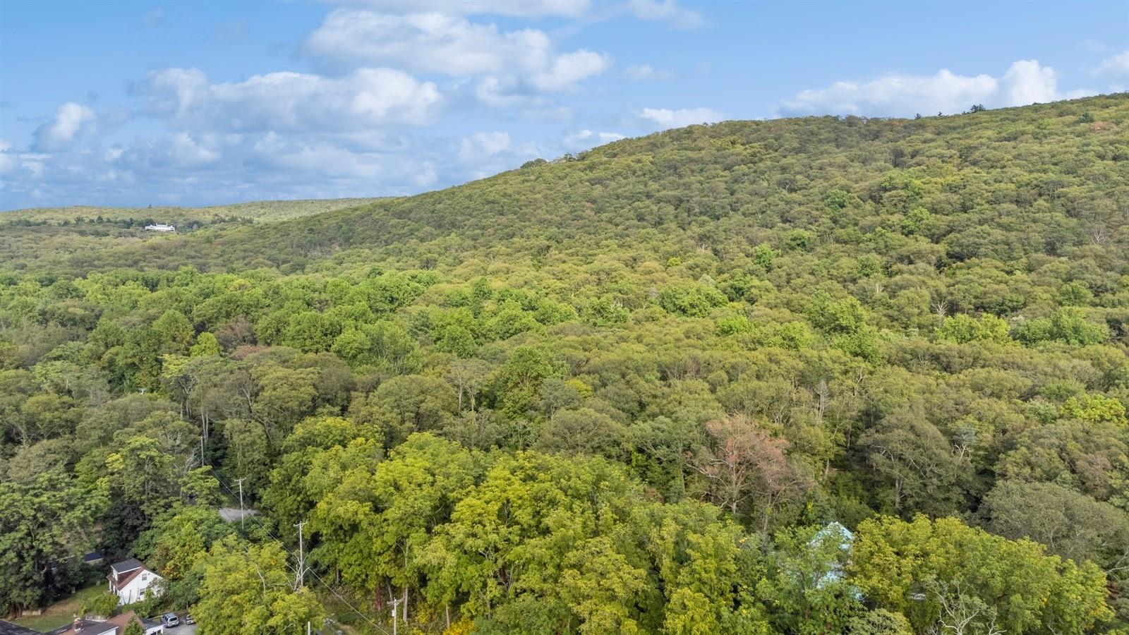 #8 photo, TBD Rt-9d, Garrison , NY 10524