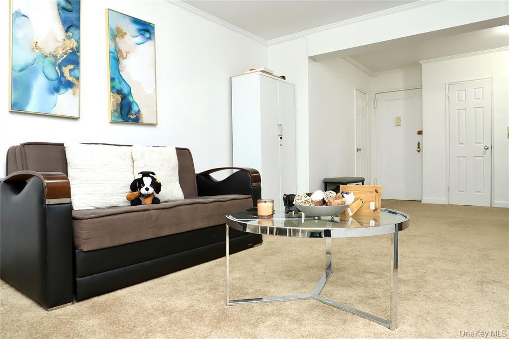 #8 photo, 15029 72nd Road, クイーンズ区 Flushing , NY 11367