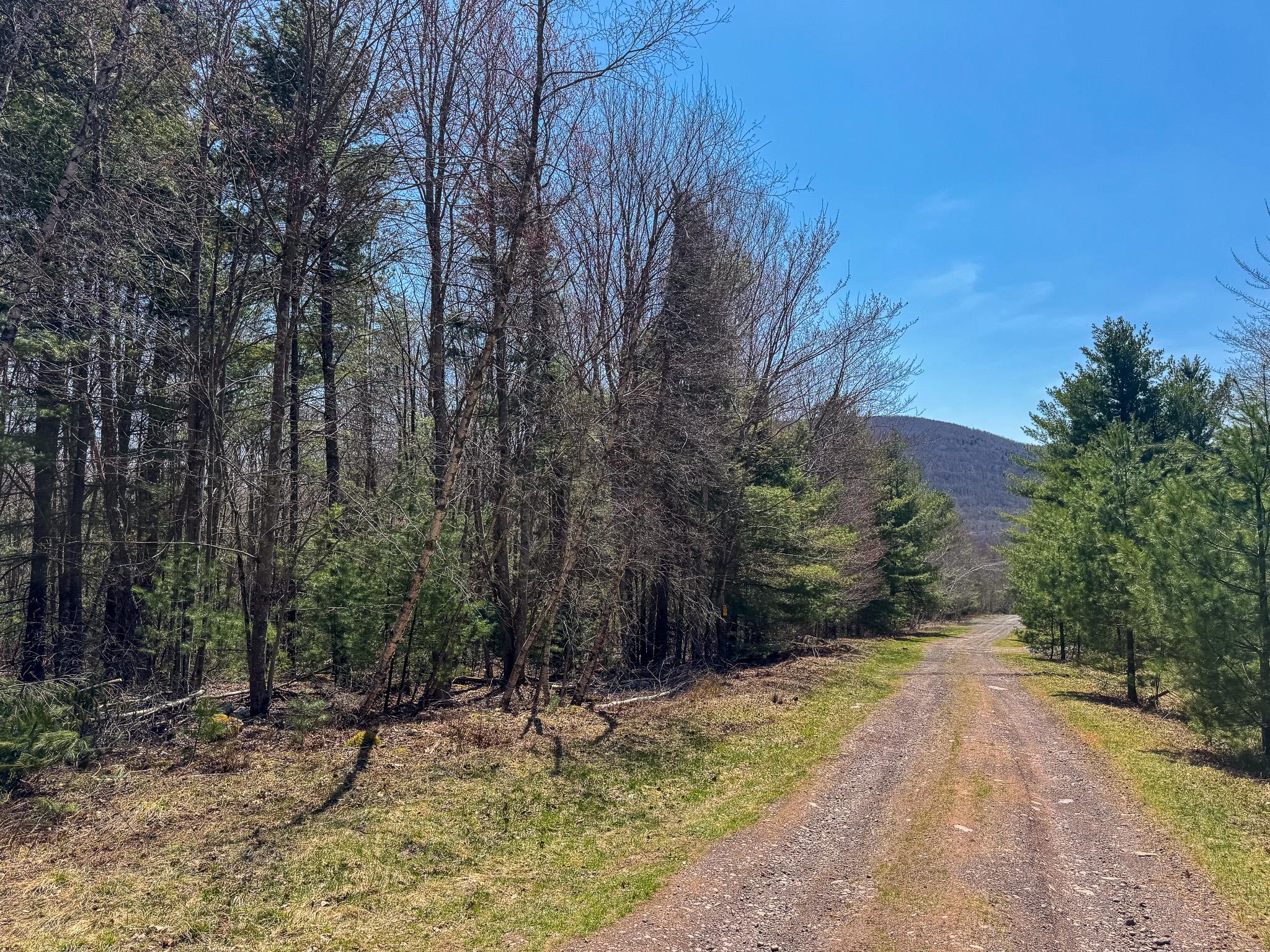 #1 photo, 116 Sugar Loaf Trail, Jewett , NY 12424