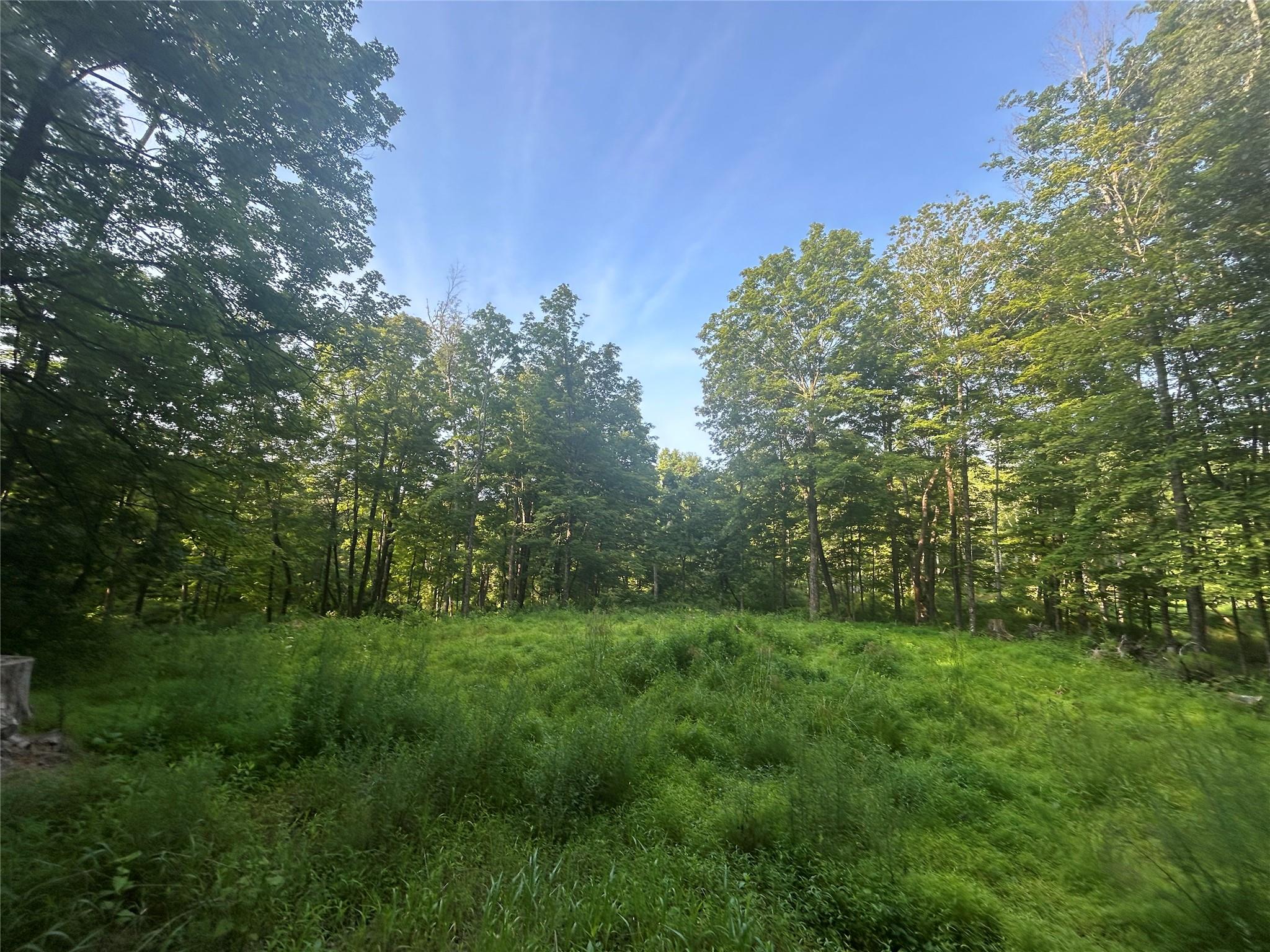 #1 photo, 393 County Route 2, Accord , NY 12404