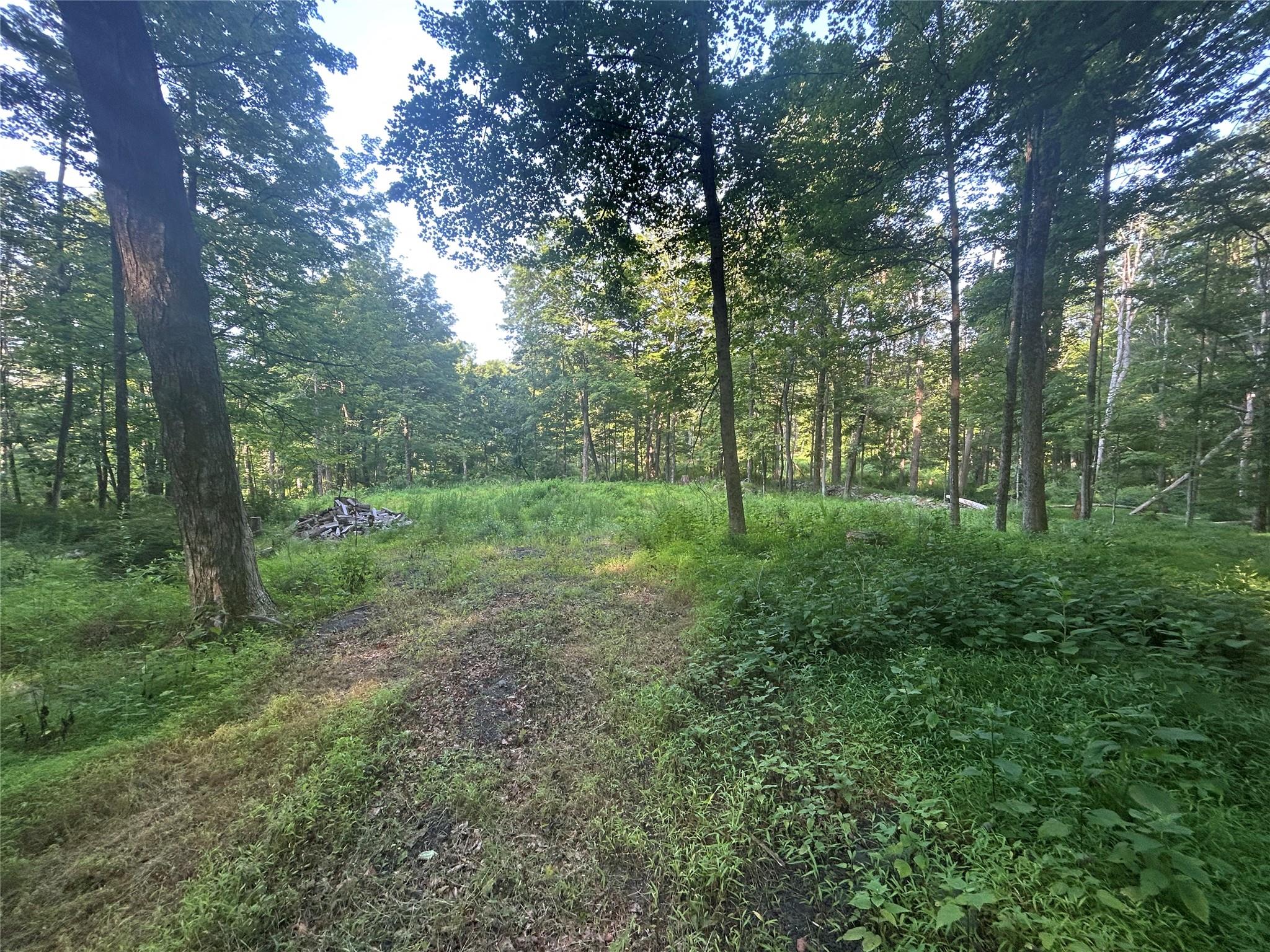 #2 photo, 393 County Route 2, Accord , NY 12404