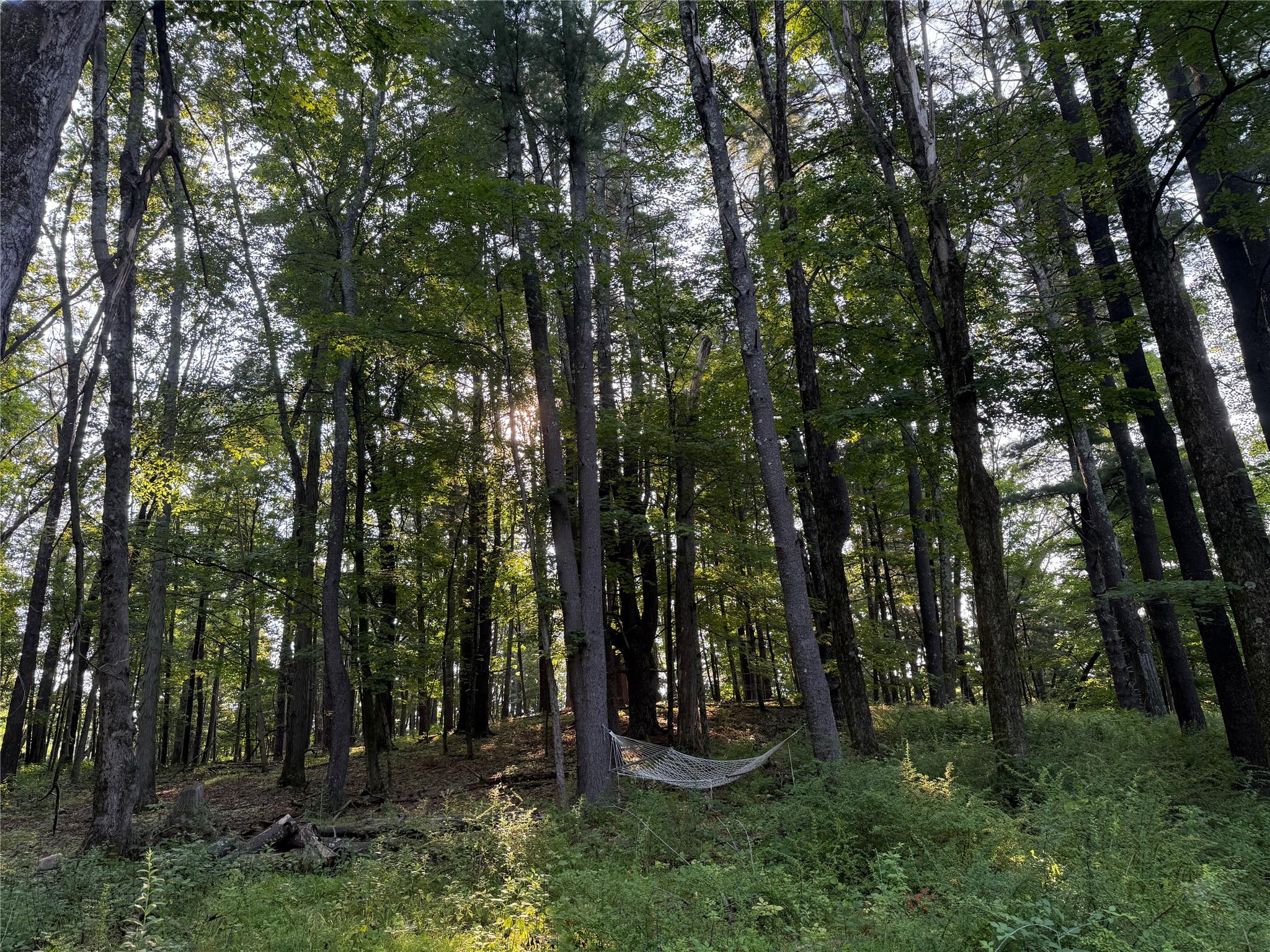 #3 photo, 393 County Route 2, Accord , NY 12404