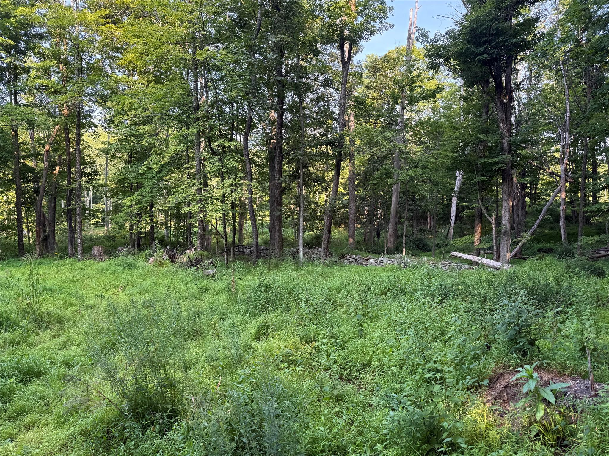 #4 photo, 393 County Route 2, Accord , NY 12404