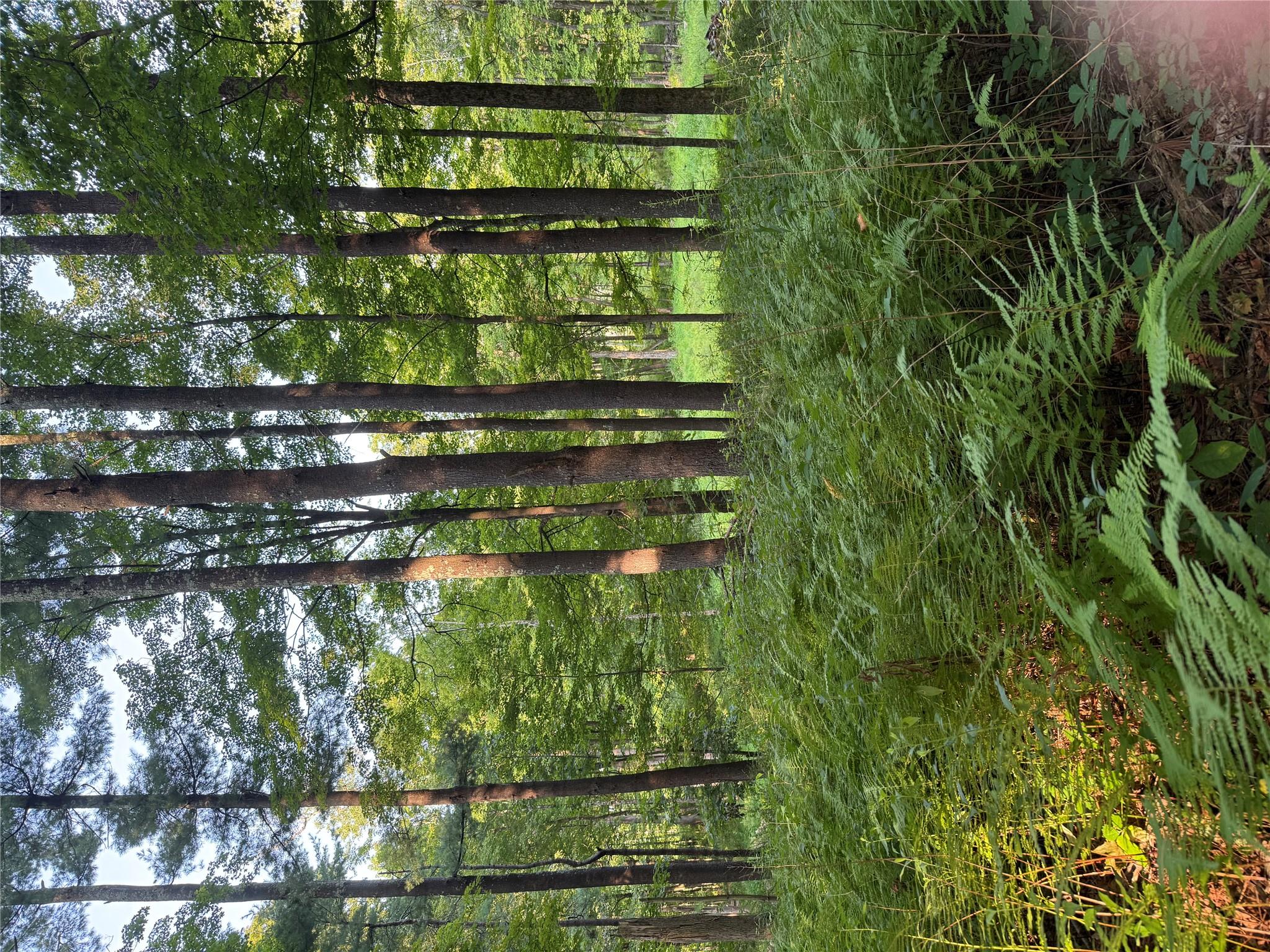 #6 photo, 393 County Route 2, Accord , NY 12404