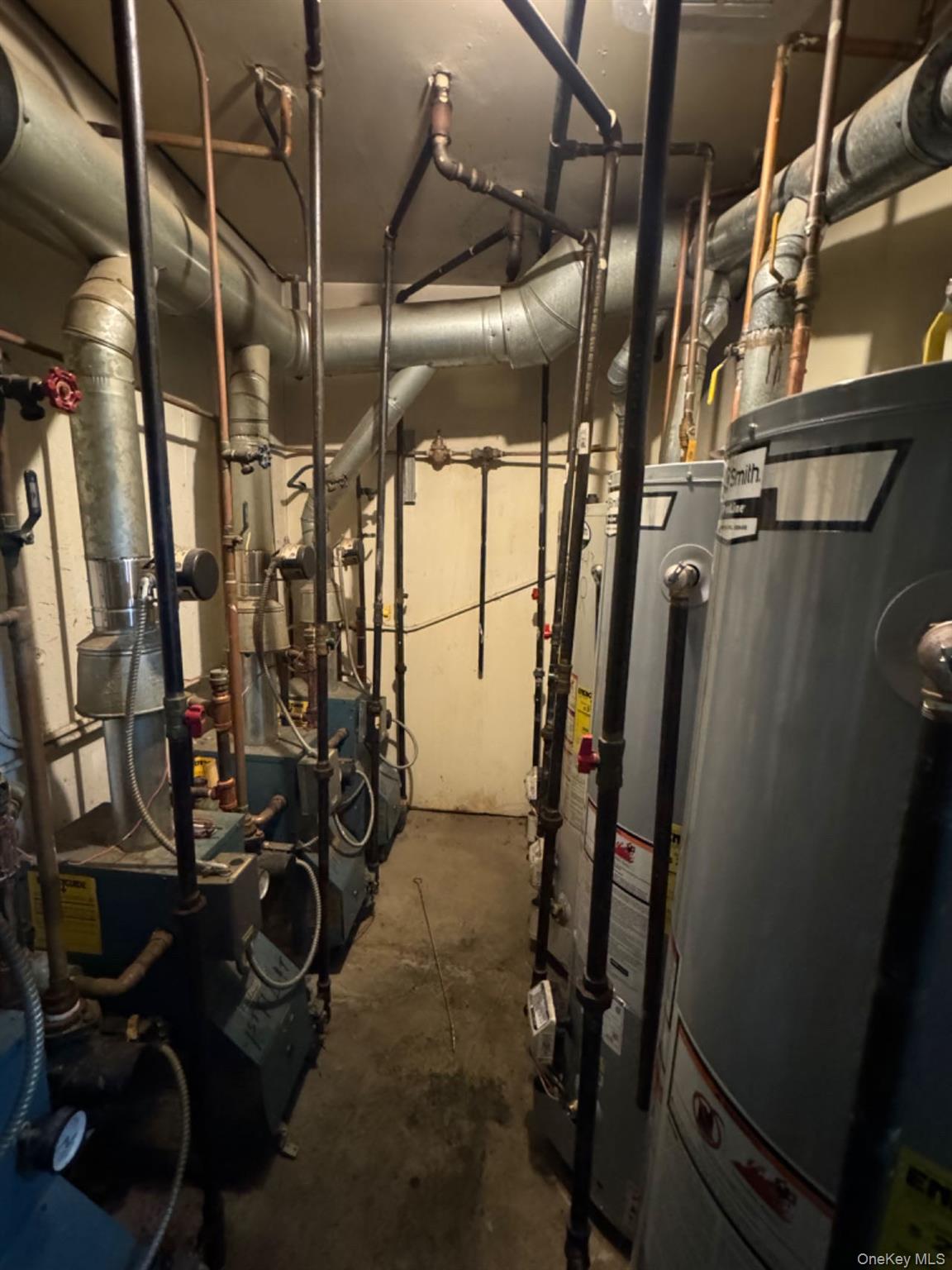 #15 photo, 109-12 Westside Avenue, クイーンズ区 Corona , NY 11368