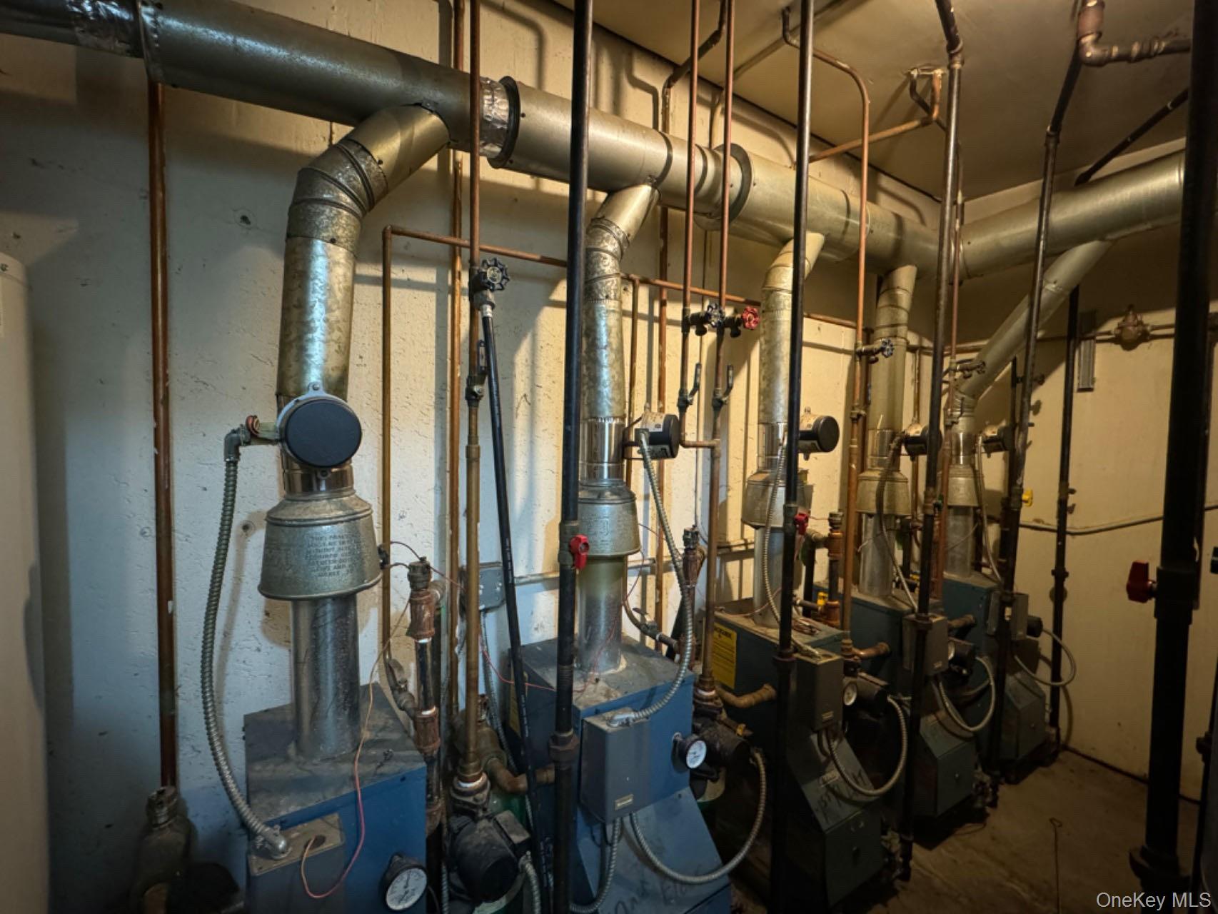 #16 photo, 109-12 Westside Avenue, クイーンズ区 Corona , NY 11368