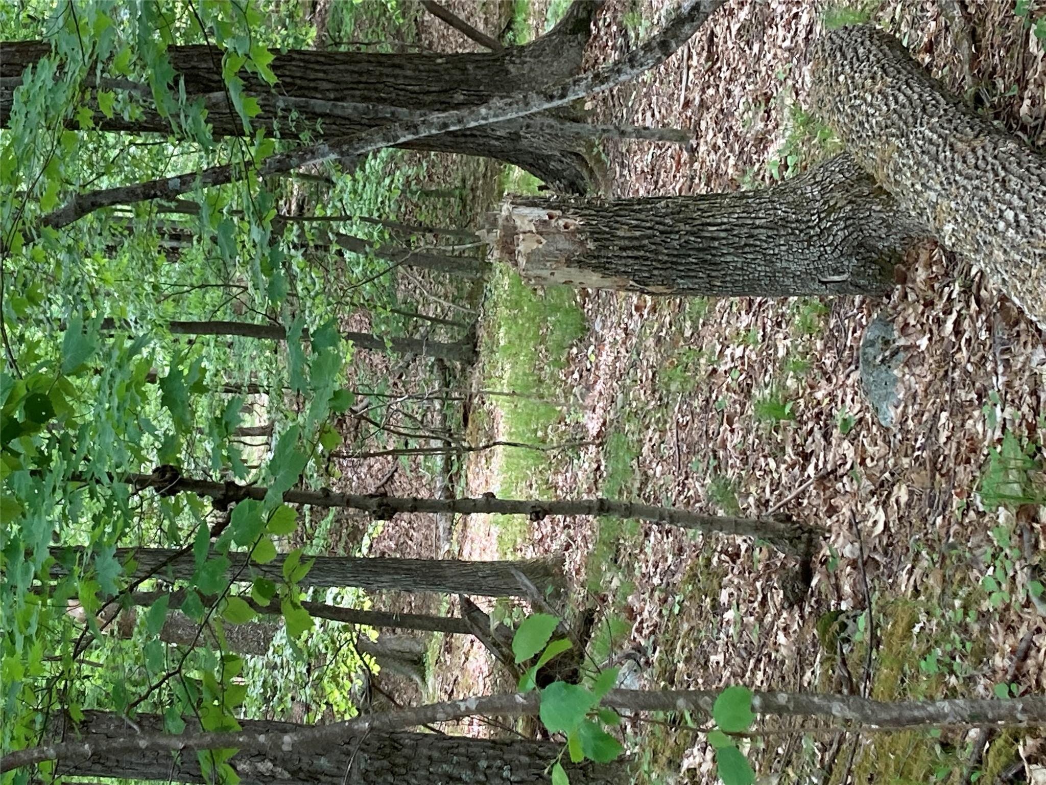 #11 photo, 716 Upper Mountain Road, Pine Bush , NY 12566