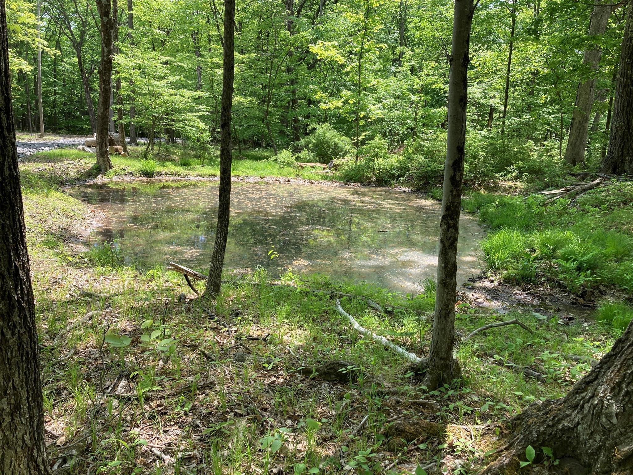 #4 photo, 716 Upper Mountain Road, Pine Bush , NY 12566