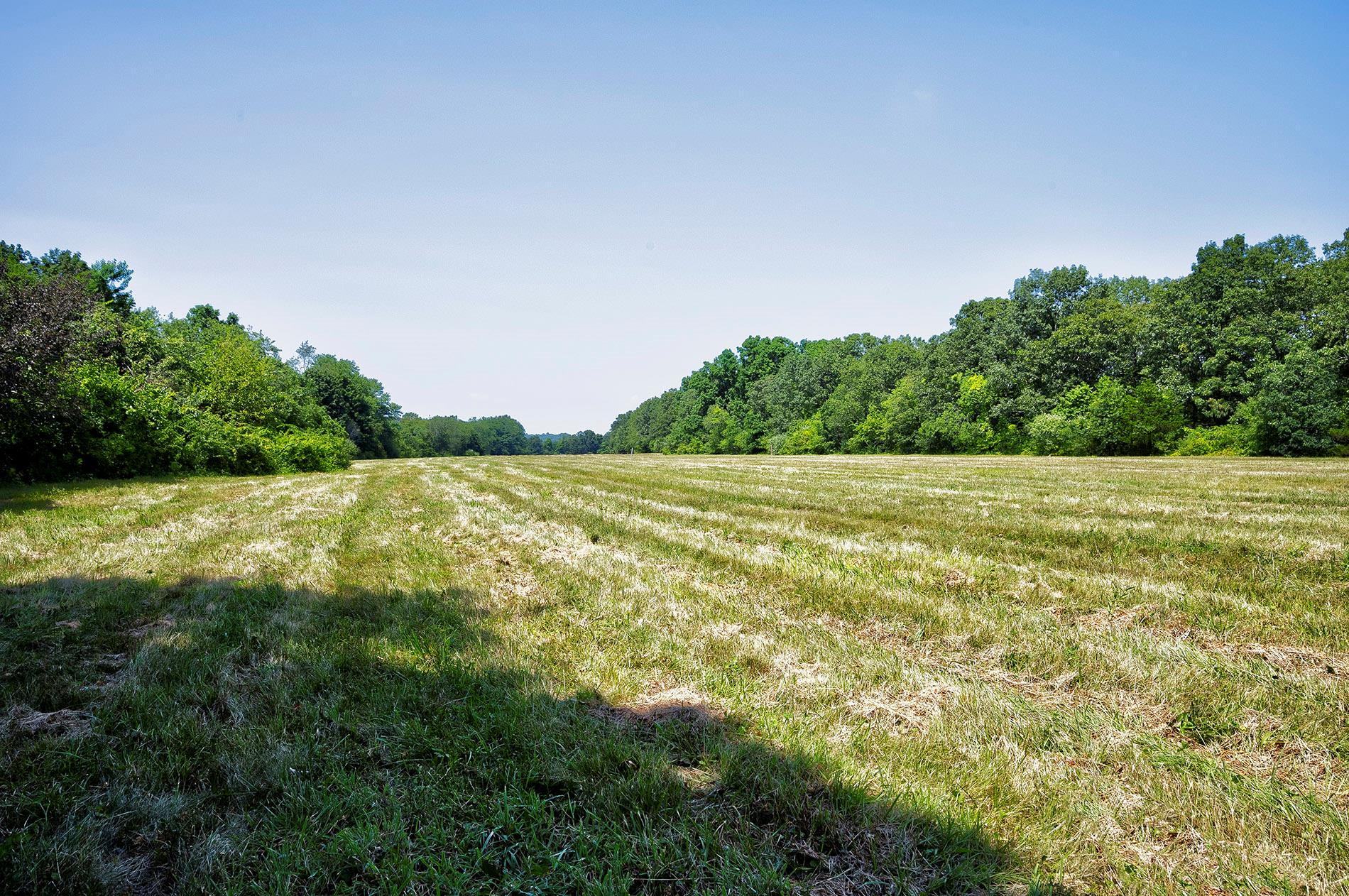 #4 photo, 107 Caramel Road, サフォーク郡 Commack , NY 11725