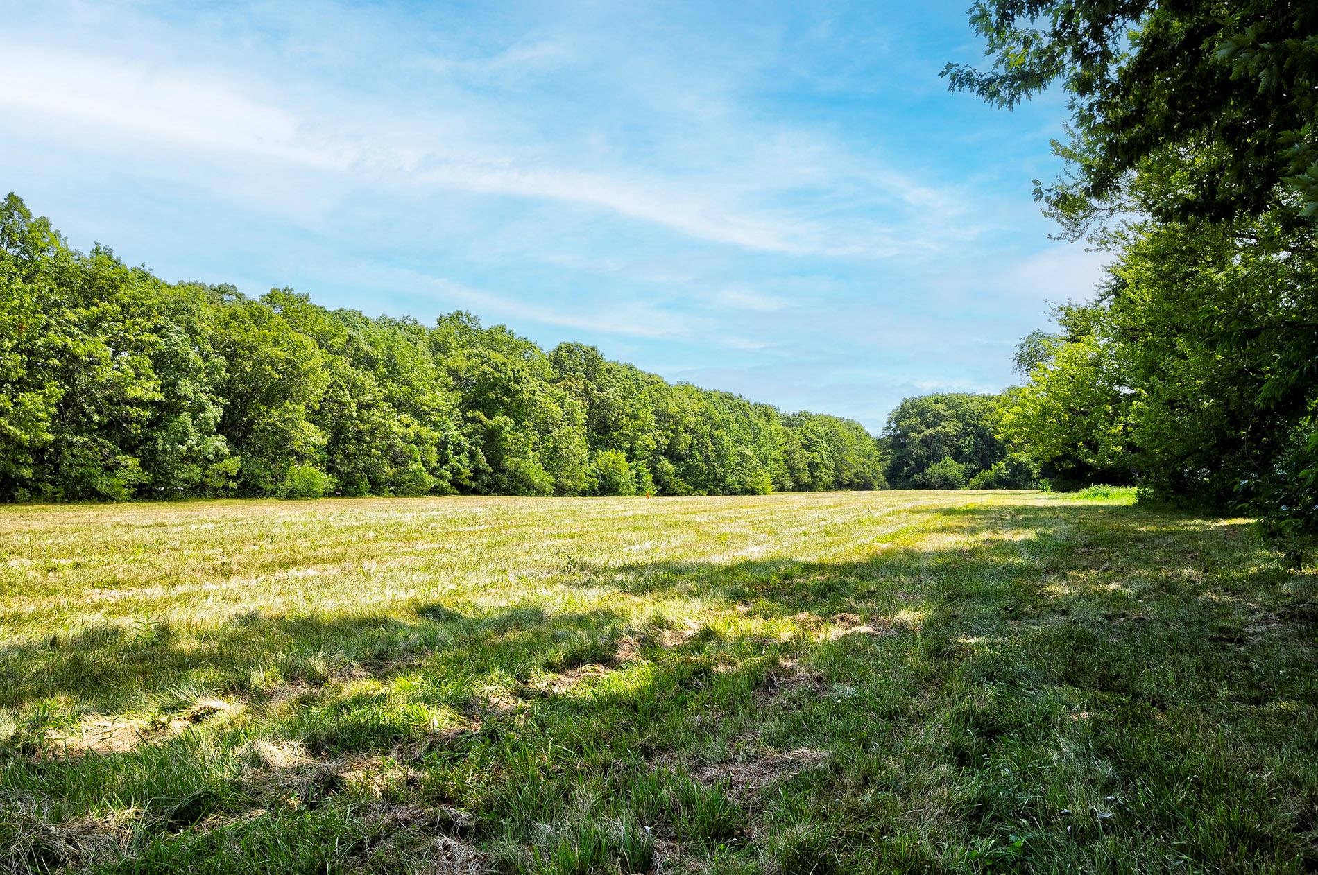 #5 photo, 107 Caramel Road, サフォーク郡 Commack , NY 11725