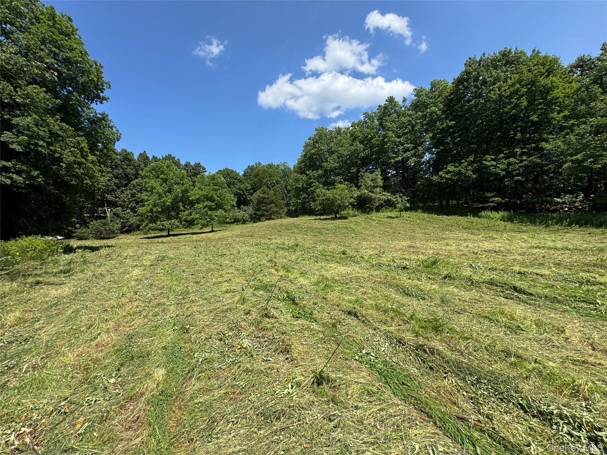 #10 photo, Rt-17, Goshen , NY 10940