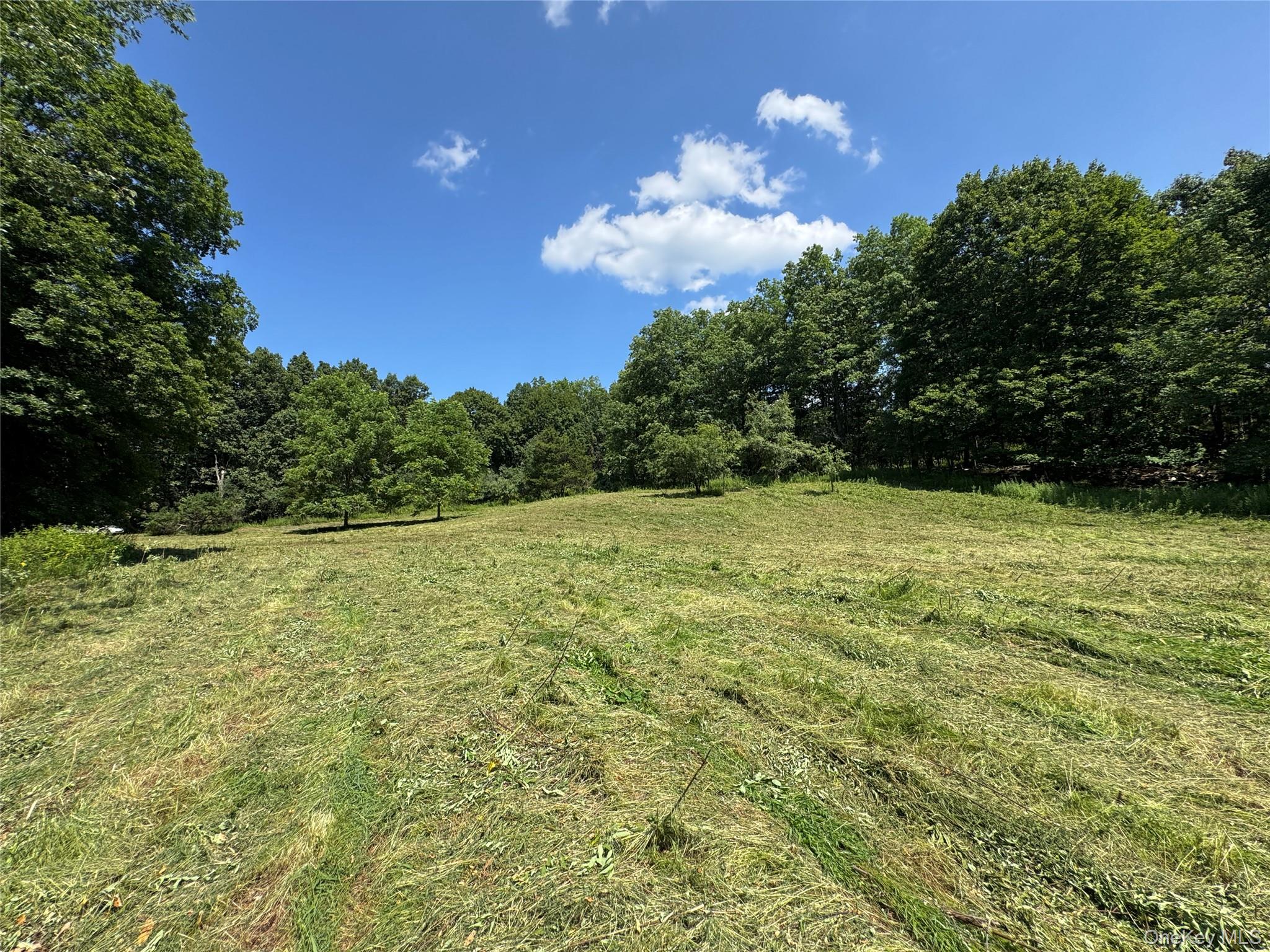 #11 photo, Rt-17, Goshen , NY 10940