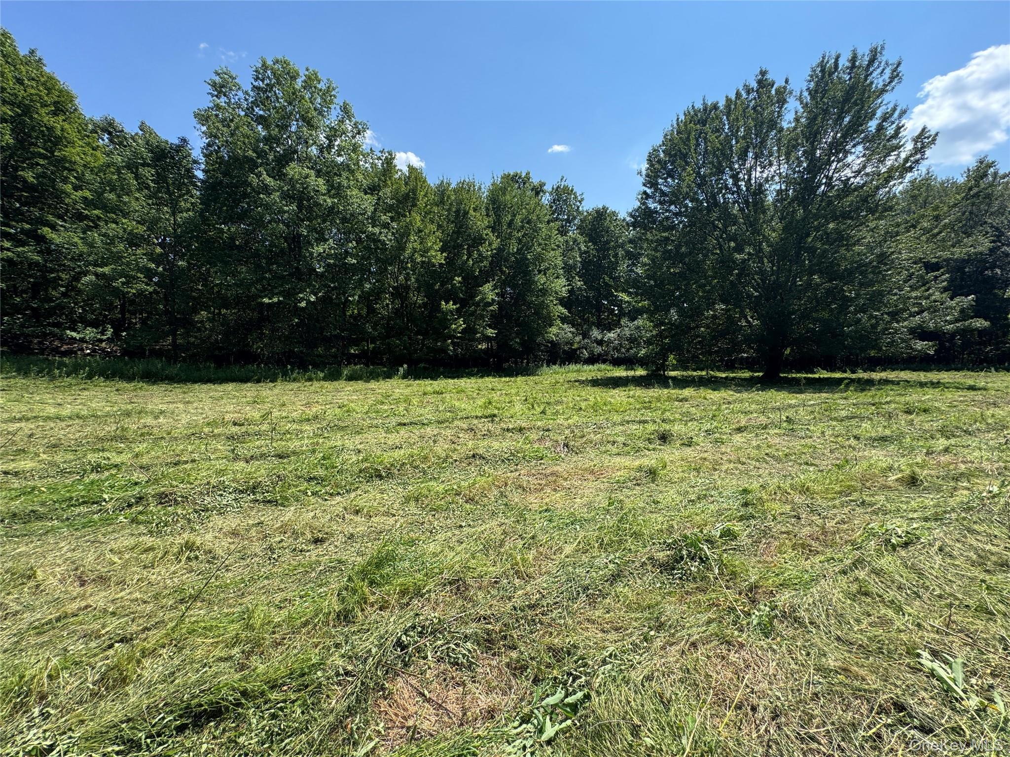 #12 photo, Rt-17, Goshen , NY 10940