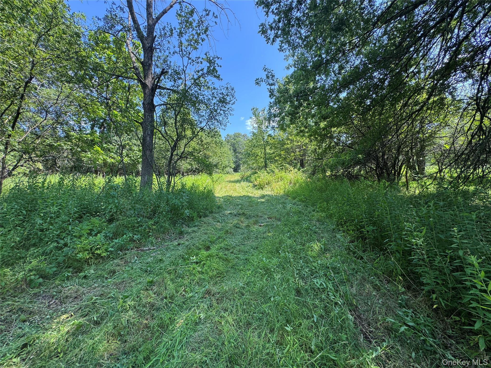 #13 photo, Rt-17, Goshen , NY 10940