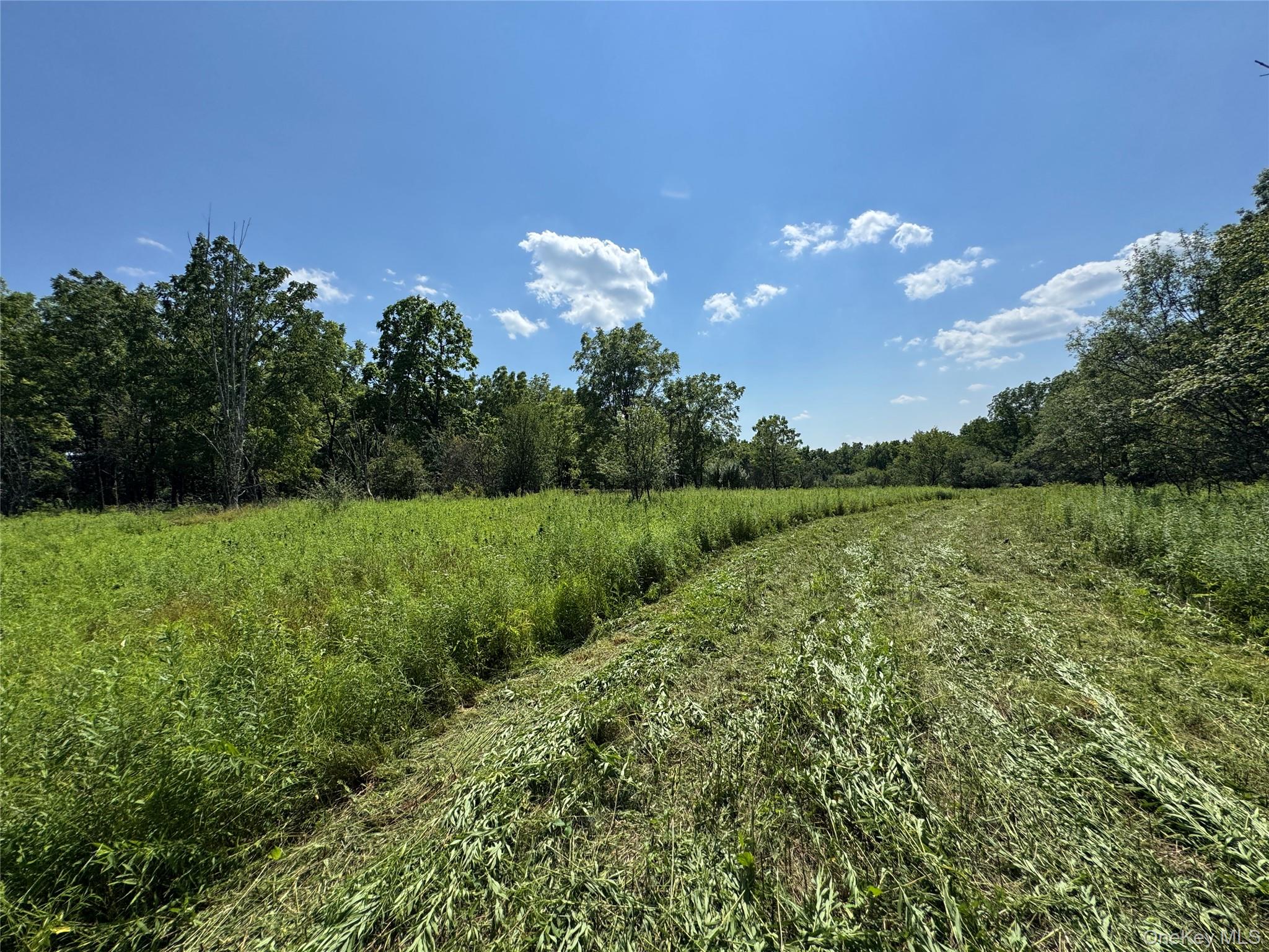 #14 photo, Rt-17, Goshen , NY 10940