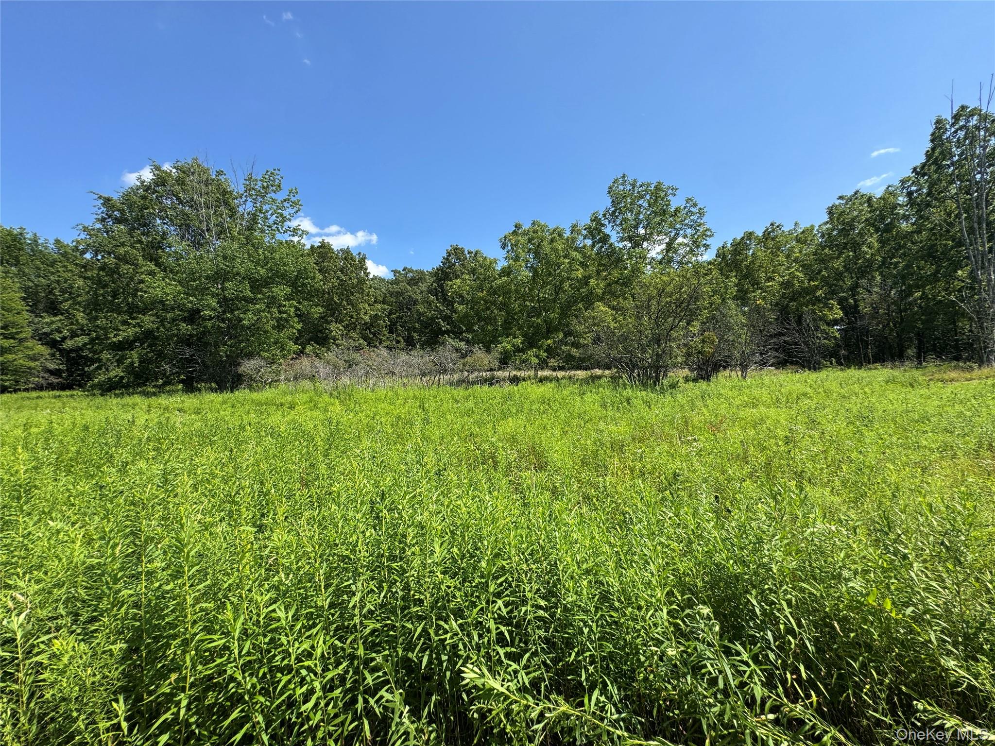 #15 photo, Rt-17, Goshen , NY 10940