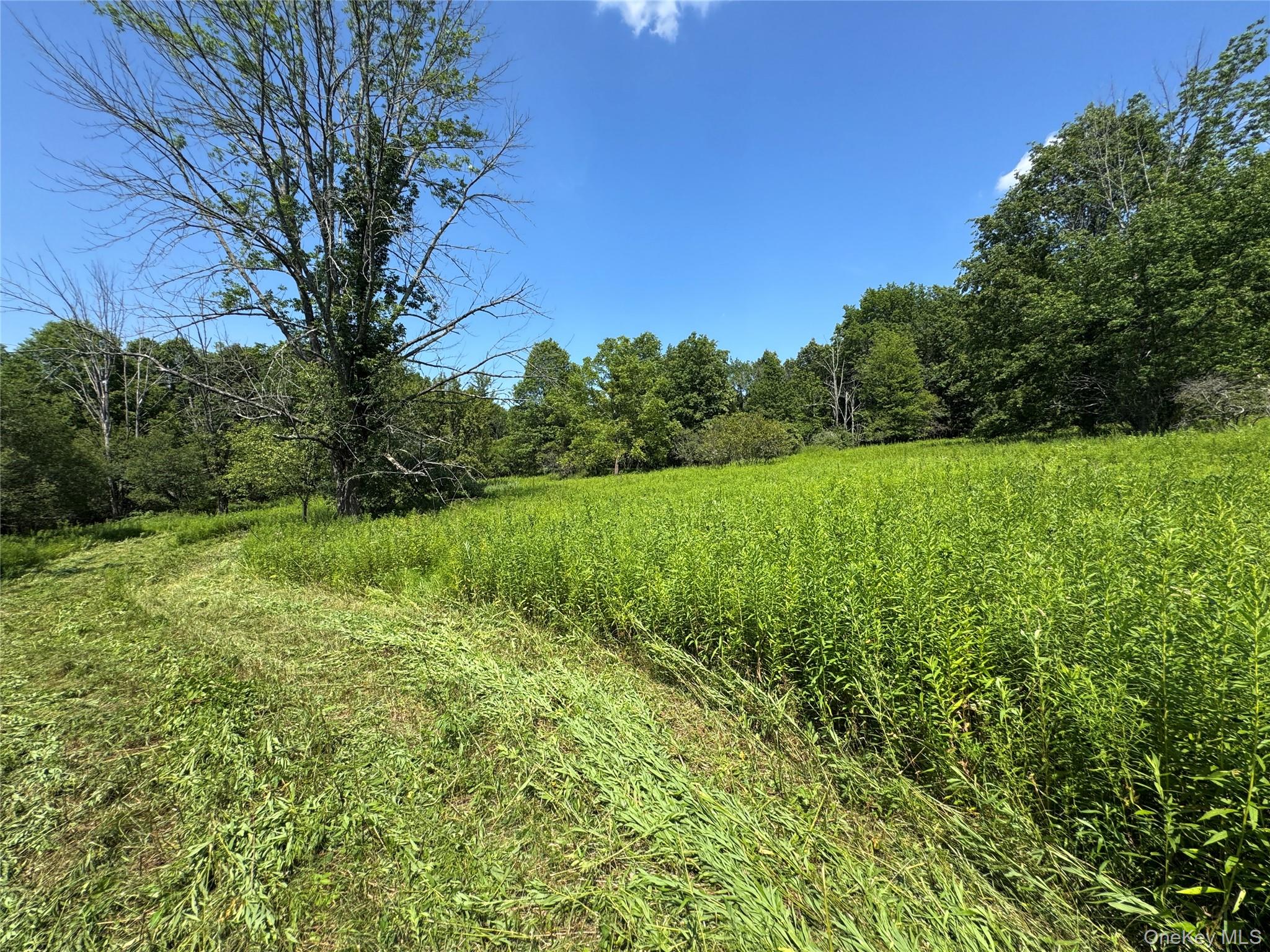 #16 photo, Rt-17, Goshen , NY 10940