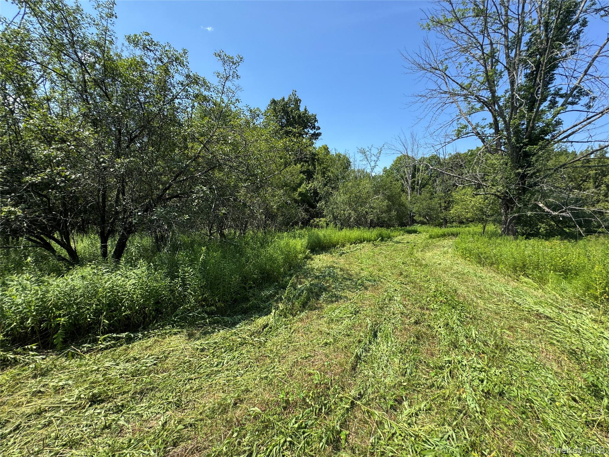 #17 photo, Rt-17, Goshen , NY 10940