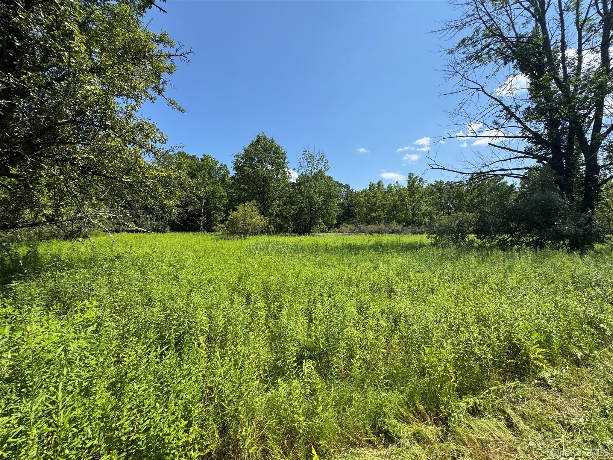 #18 photo, Rt-17, Goshen , NY 10940