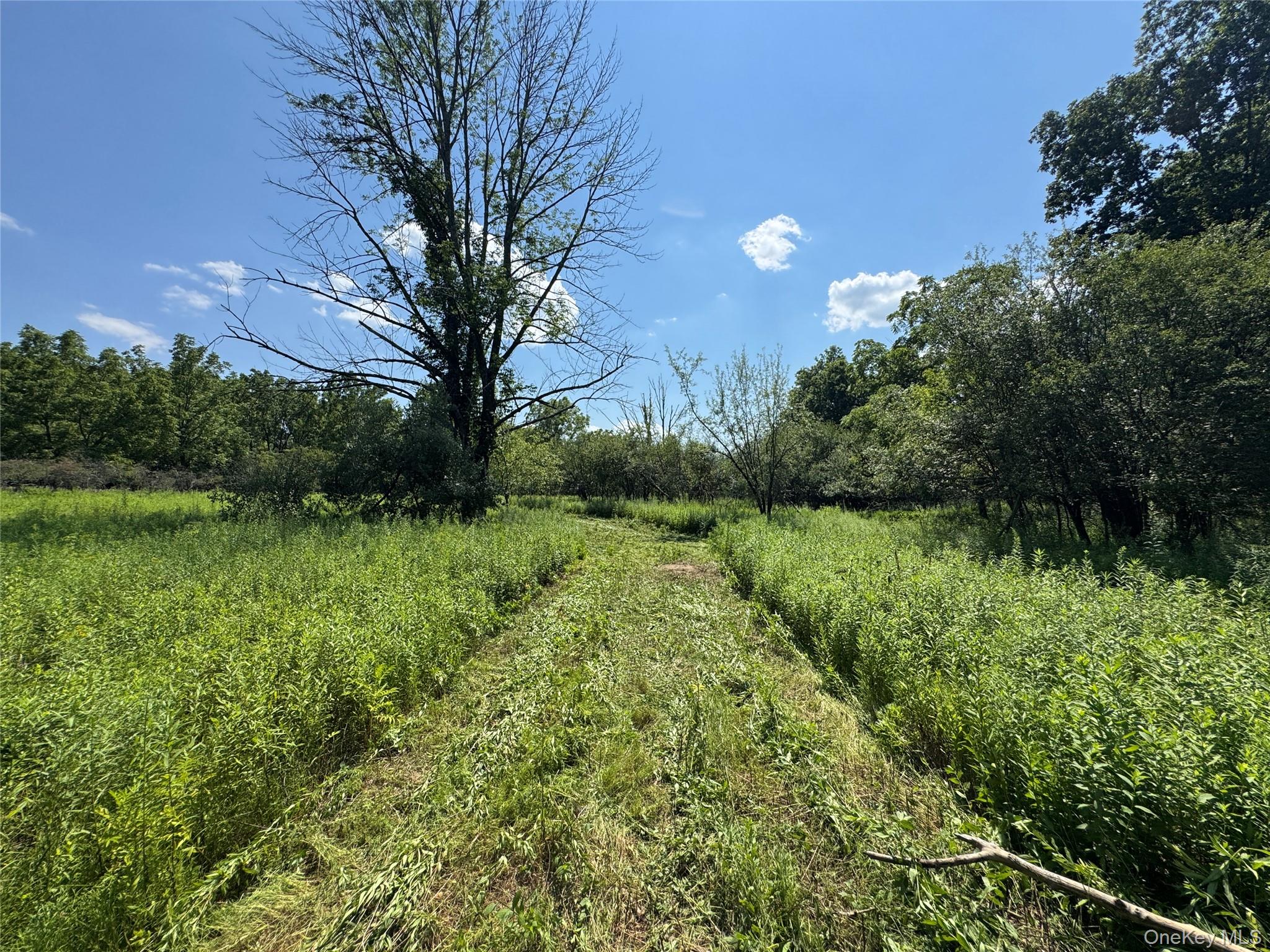 #19 photo, Rt-17, Goshen , NY 10940