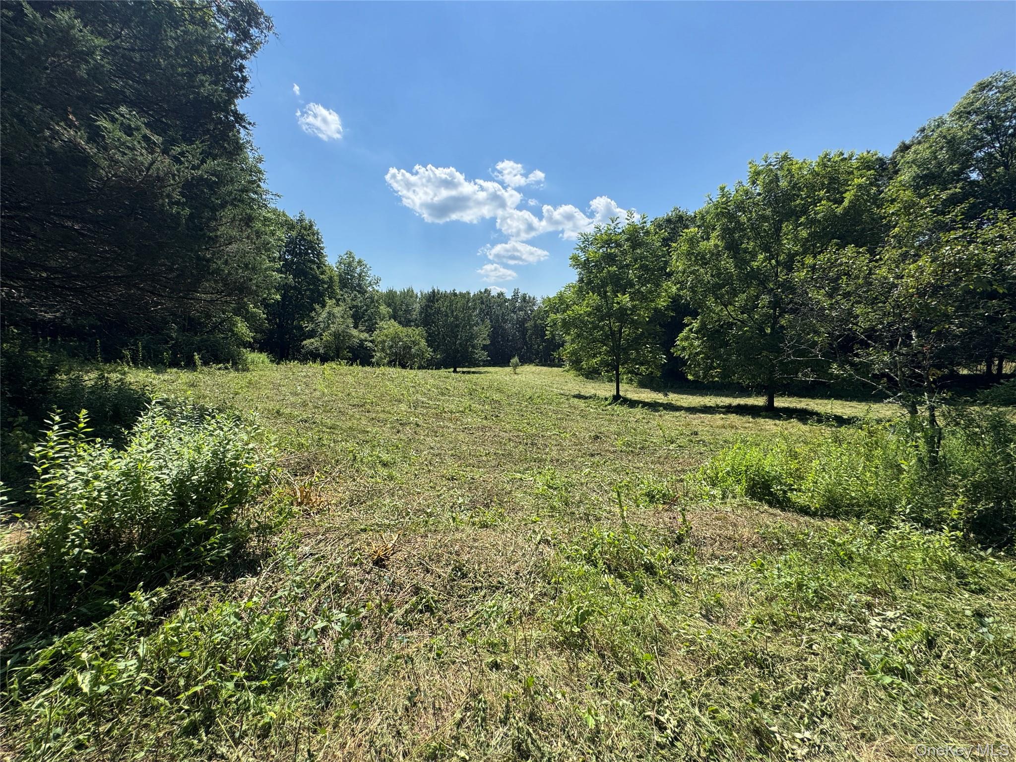 #20 photo, Rt-17, Goshen , NY 10940