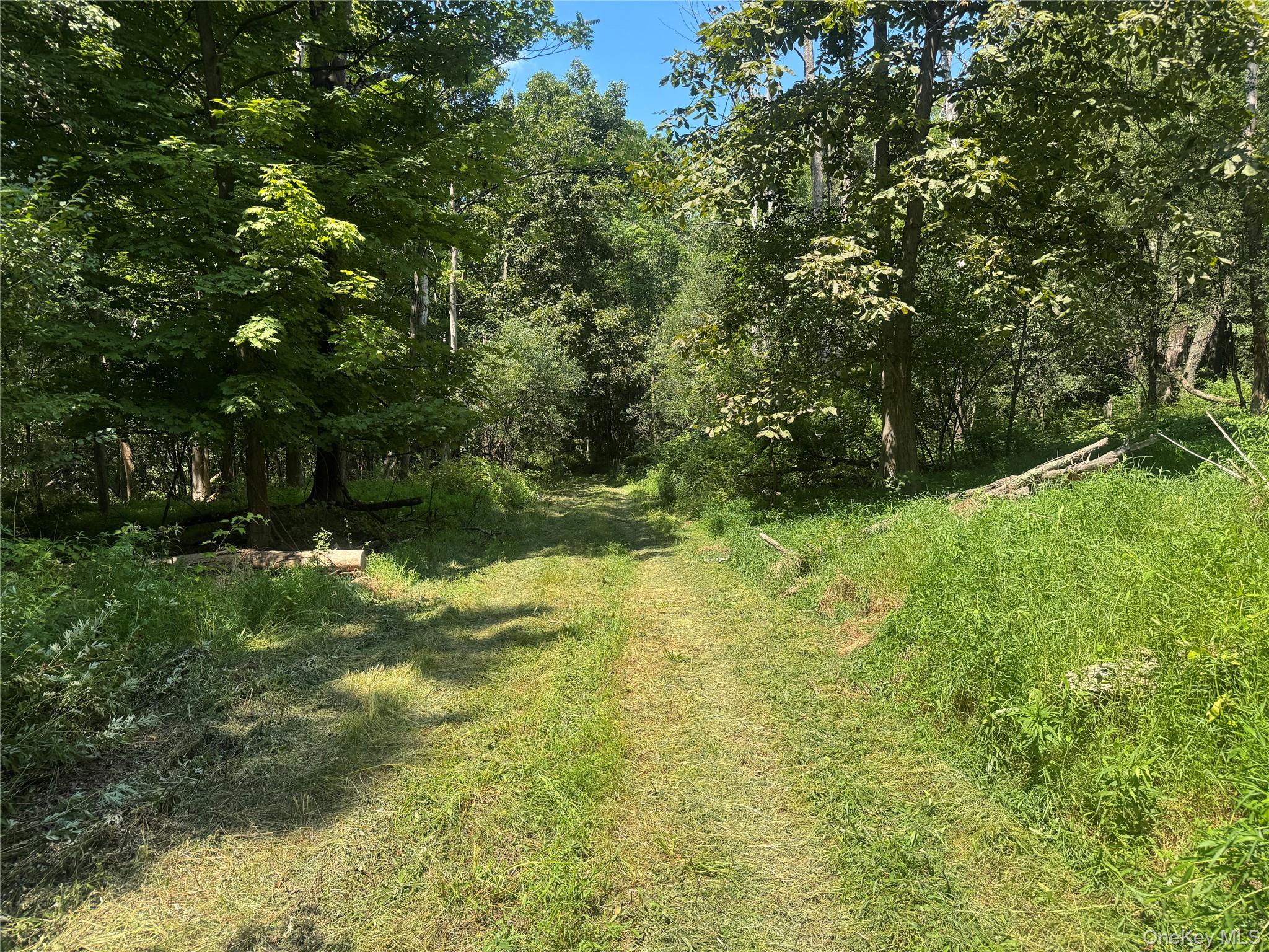 #3 photo, Rt-17, Goshen , NY 10940