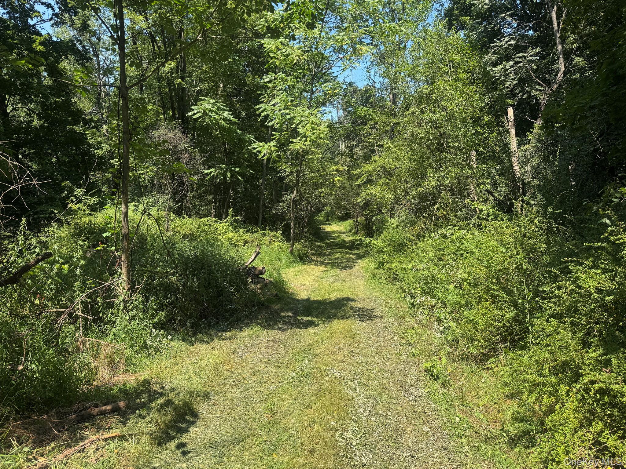 #4 photo, Rt-17, Goshen , NY 10940