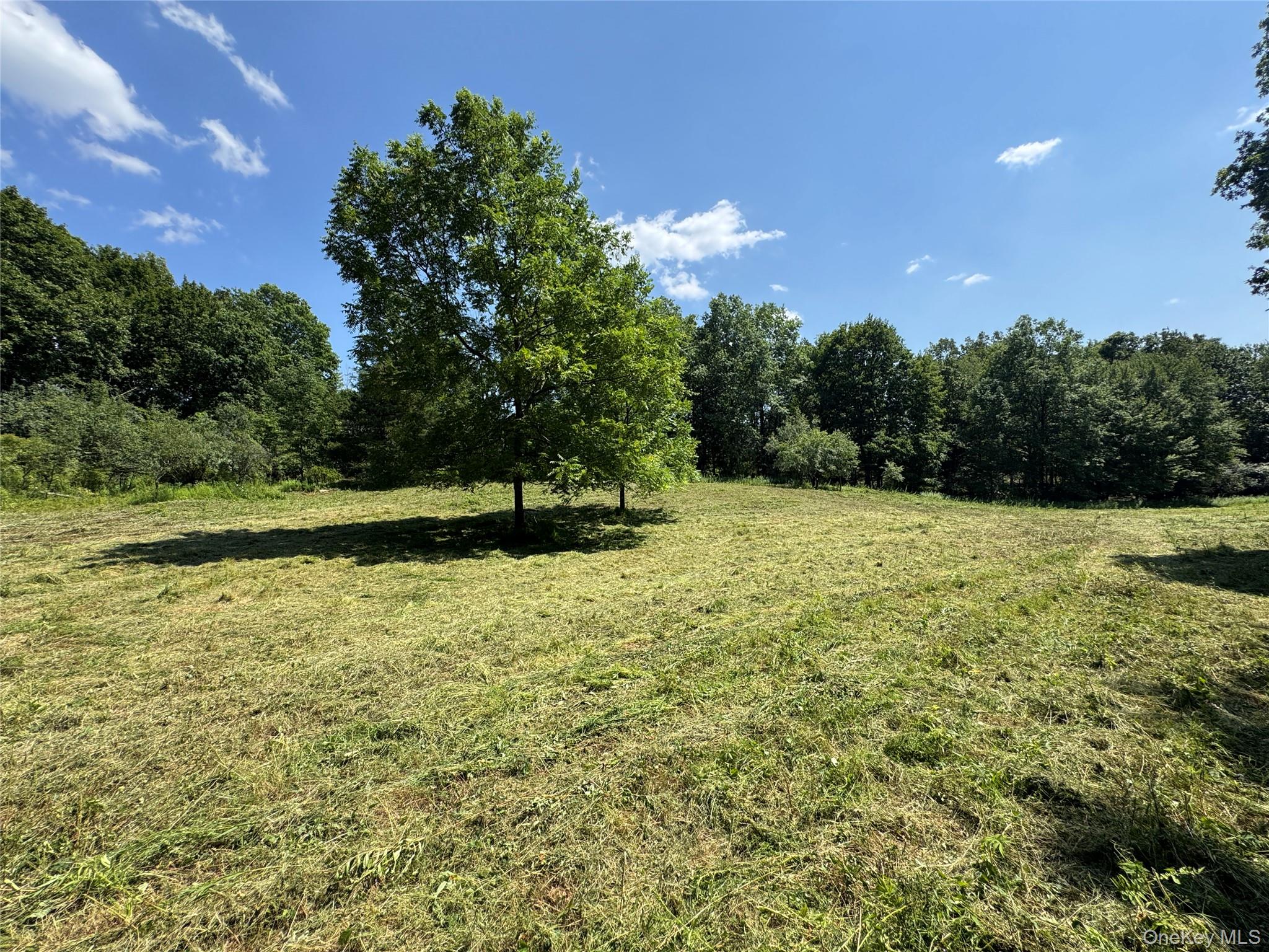 #7 photo, Rt-17, Goshen , NY 10940