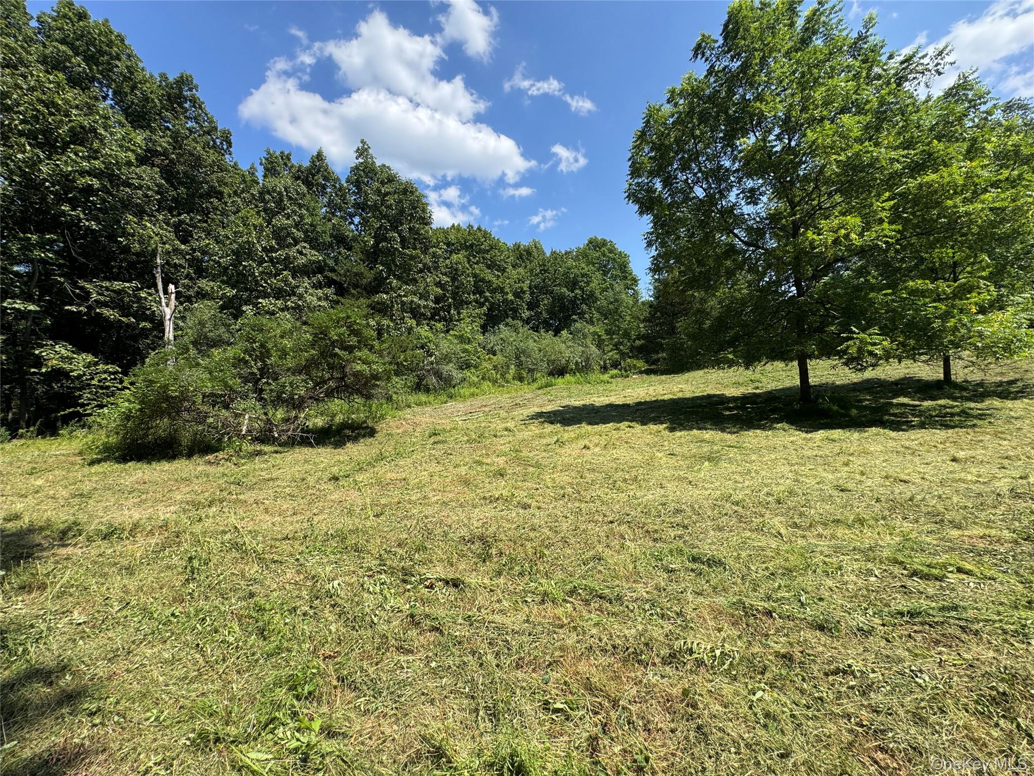 #8 photo, Rt-17, Goshen , NY 10940