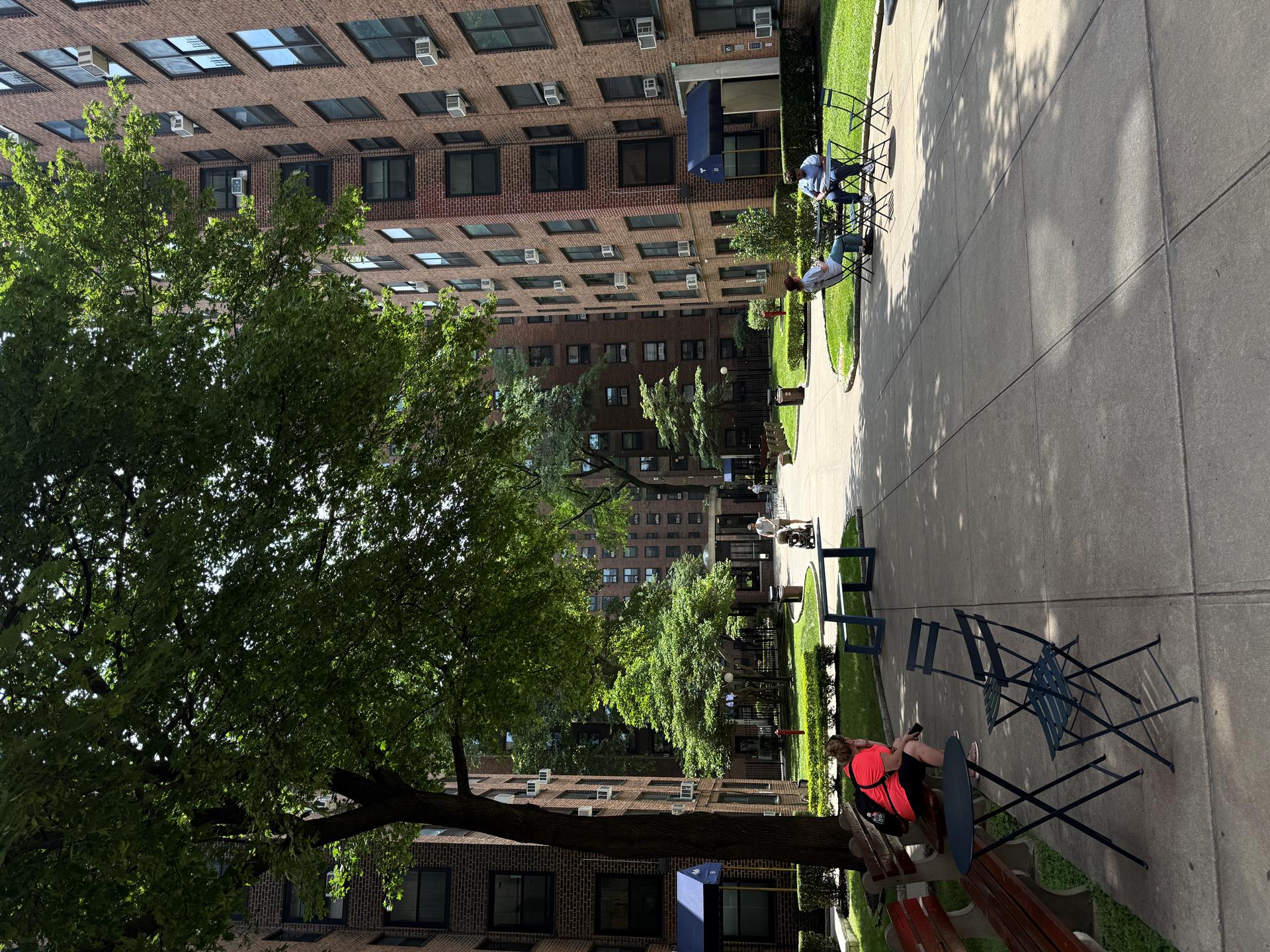 #18 photo, 165 CLINTON Avenue, ブルックリン区 Clinton Hill , NY 11205