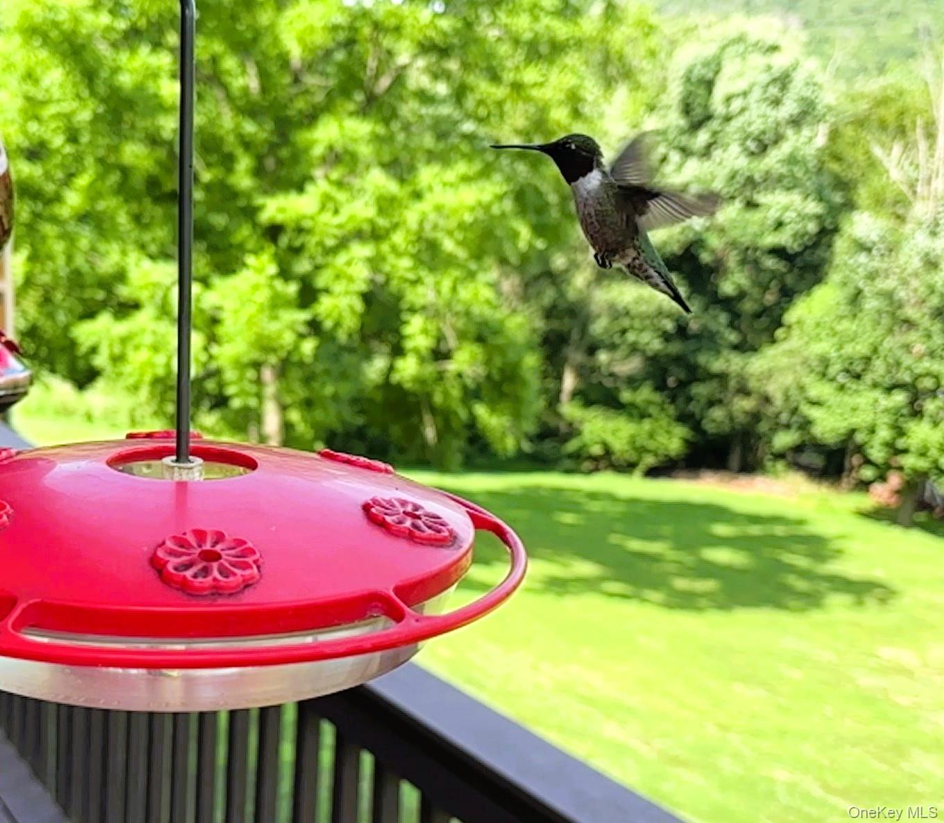 #11 photo, 207 E Hook Road, Hopewell Junction , NY 12533