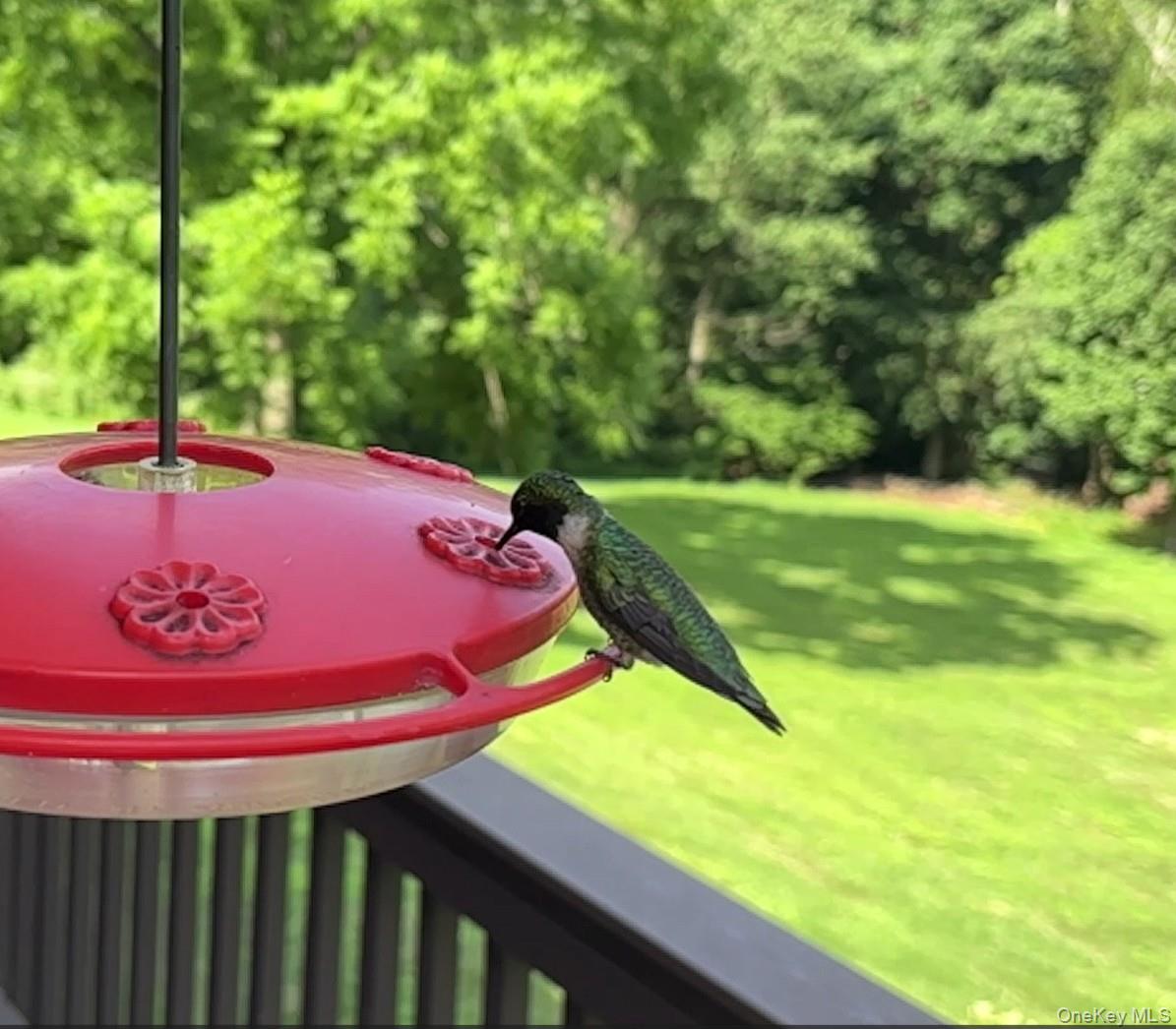 #12 photo, 207 E Hook Road, Hopewell Junction , NY 12533