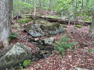 #2 photo, TBD Frost Valley, Claryville , NY 