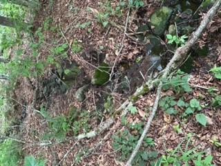 #3 photo, TBD Frost Valley, Claryville , NY 