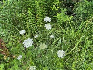 #4 photo, TBD Frost Valley, Claryville , NY 