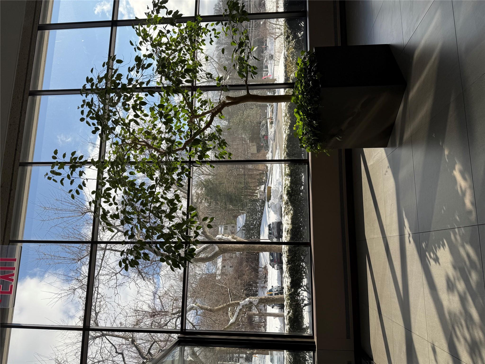 #4 photo, 245 Saw Mill River Road, Hawthorne , NY 10532