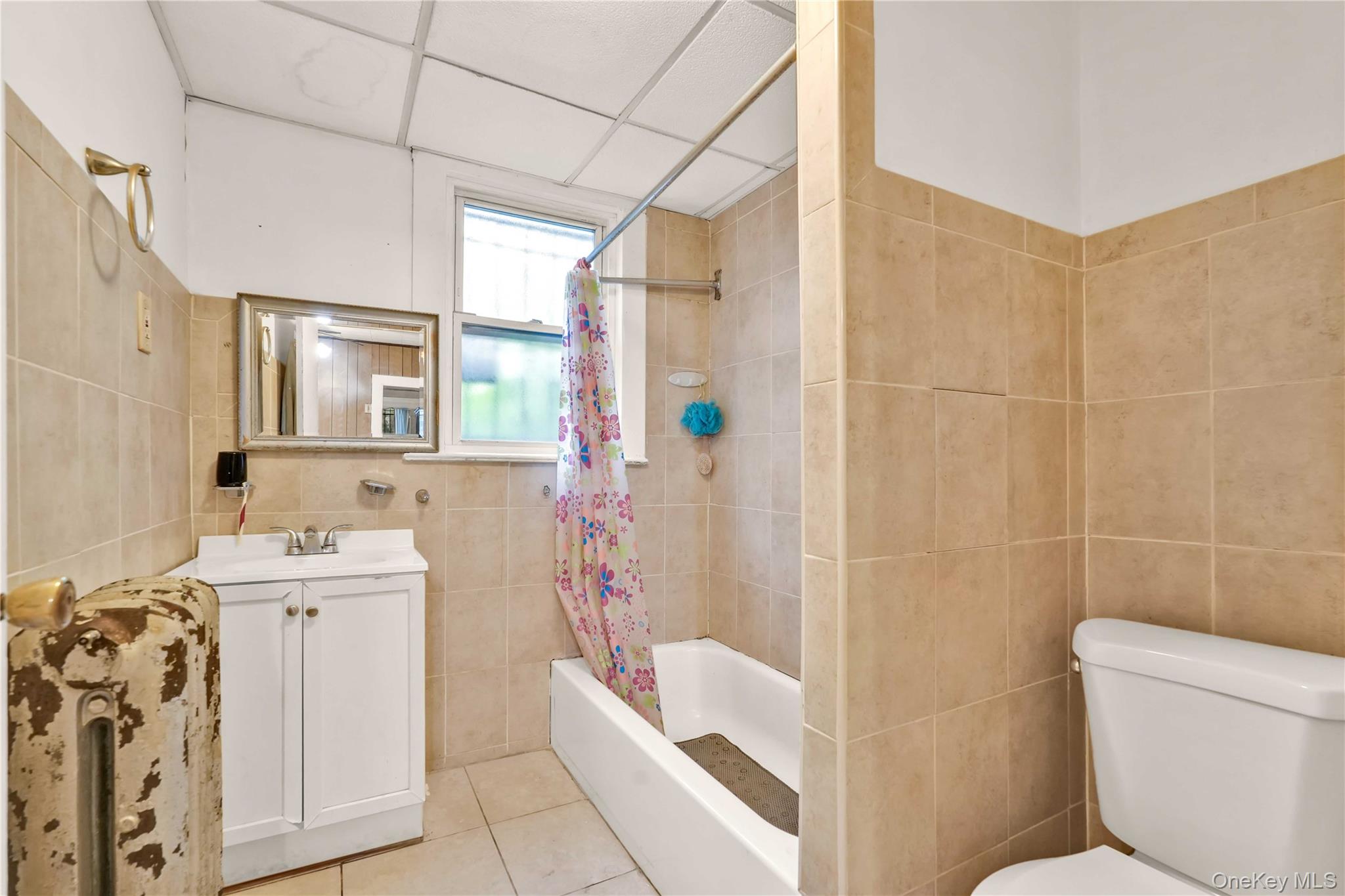 #13 photo, 207 Bradford Street, ブルックリン区 Brooklyn , NY 11207