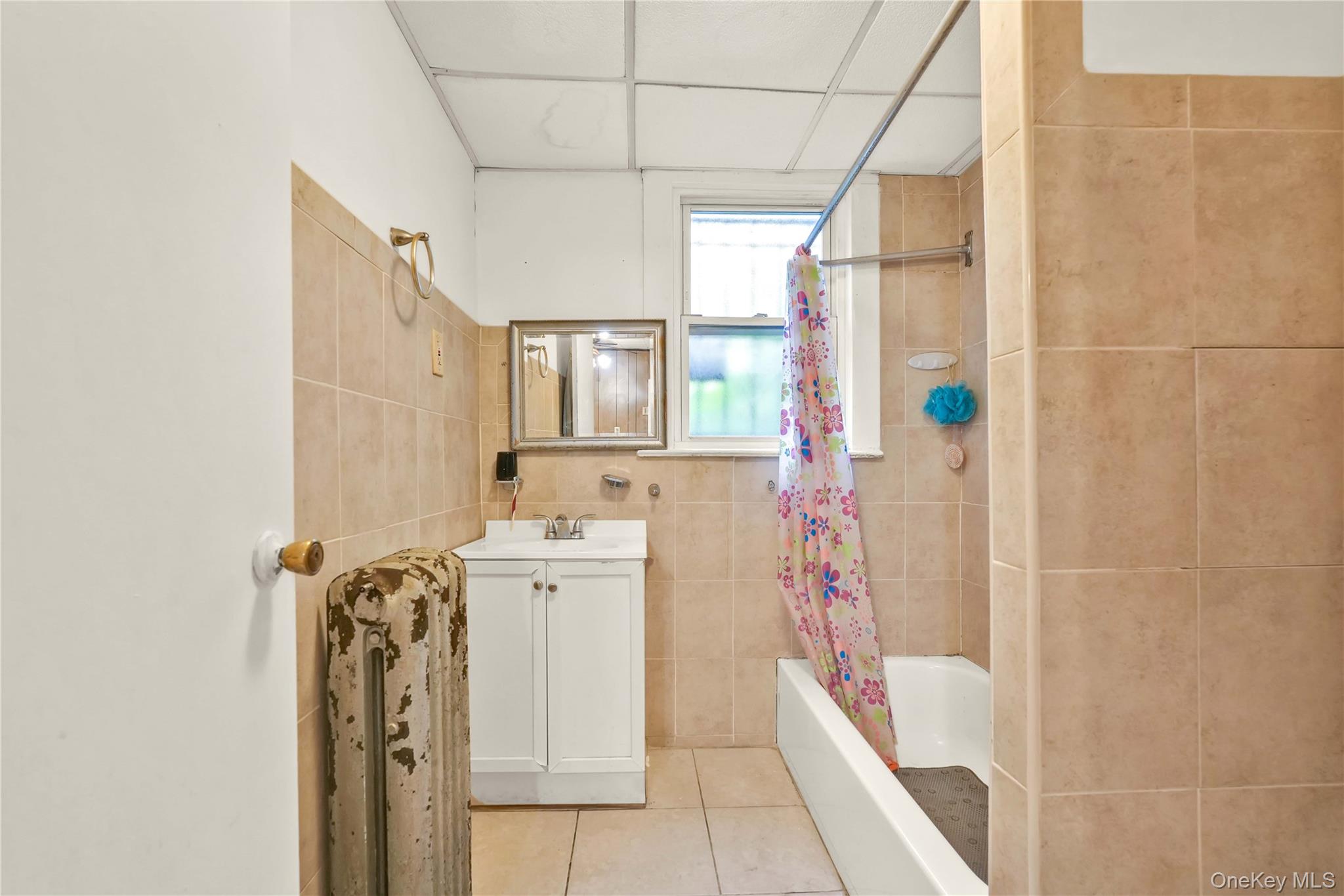 #14 photo, 207 Bradford Street, ブルックリン区 Brooklyn , NY 11207