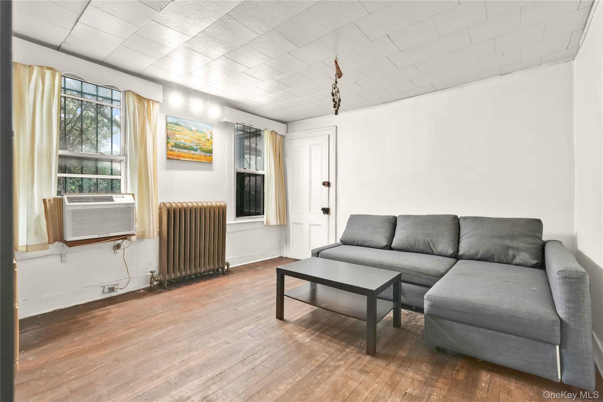 #17 photo, 207 Bradford Street, ブルックリン区 Brooklyn , NY 11207