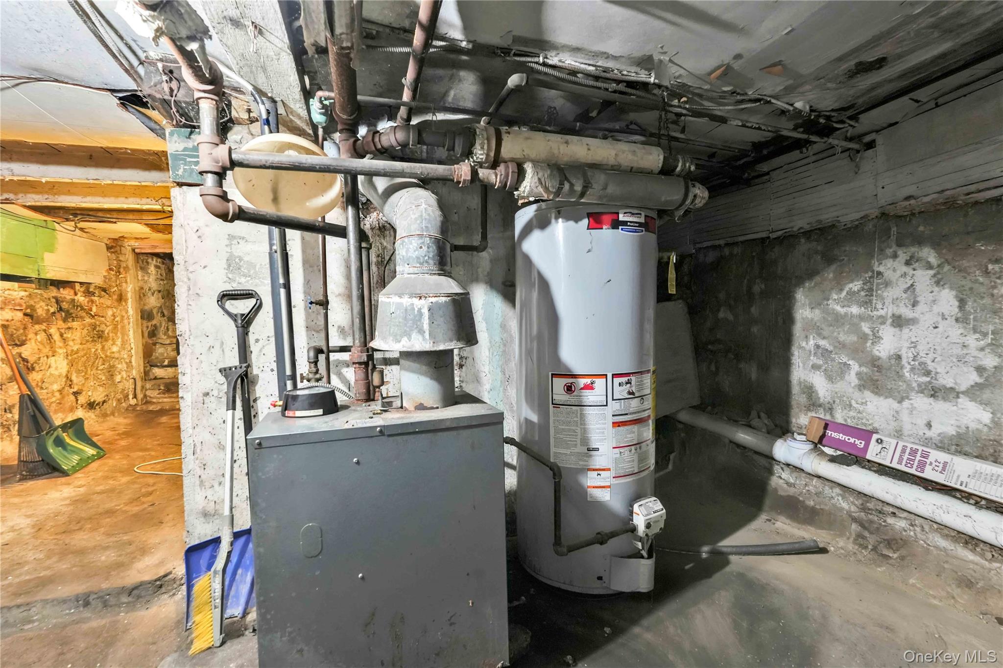 #20 photo, 207 Bradford Street, ブルックリン区 Brooklyn , NY 11207