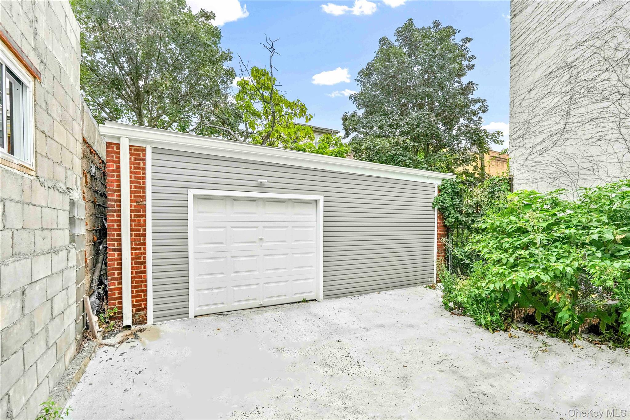 #4 photo, 207 Bradford Street, ブルックリン区 Brooklyn , NY 11207