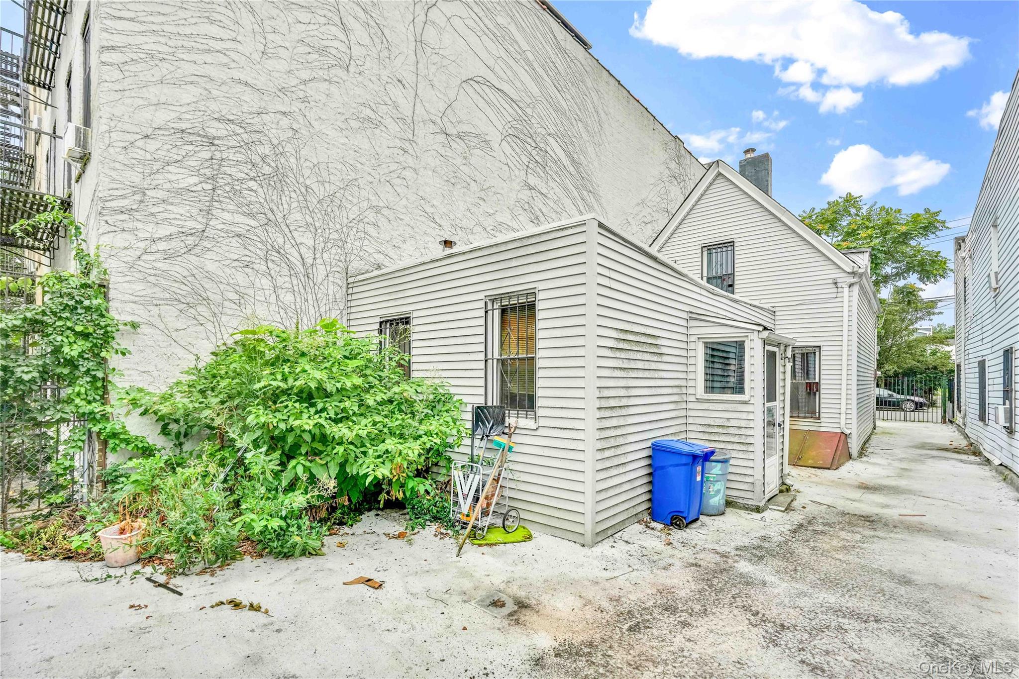 #5 photo, 207 Bradford Street, ブルックリン区 Brooklyn , NY 11207