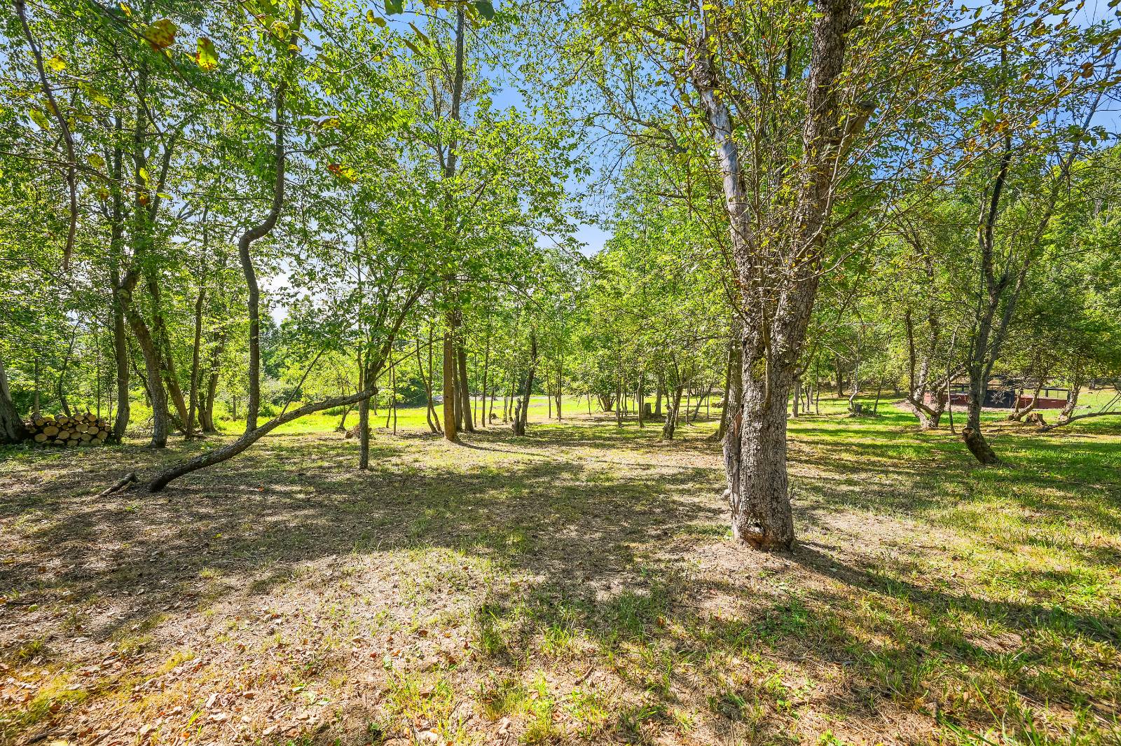 #11 photo, L55 Arnold Rd, Preston Hollow , NY 12469