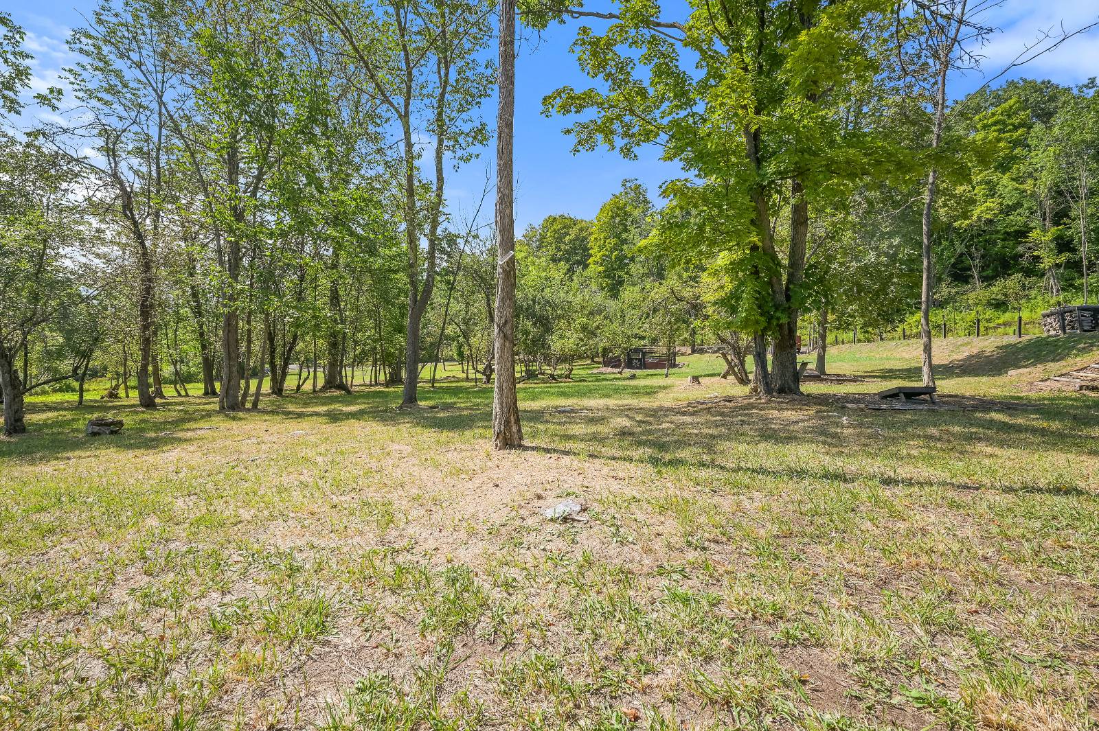 #23 photo, L55 Arnold Rd, Preston Hollow , NY 12469