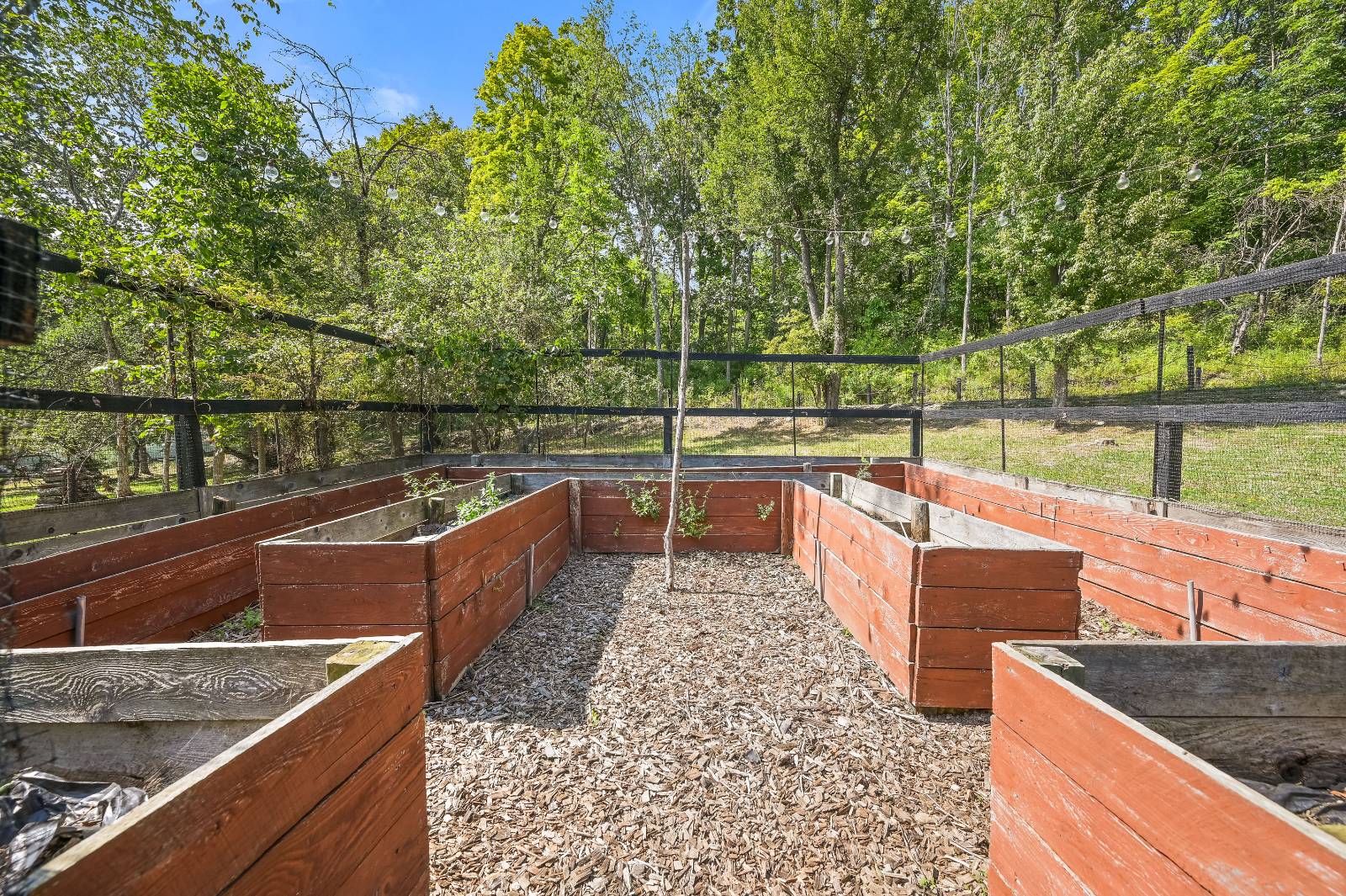 #41 photo, L55 Arnold Rd, Preston Hollow , NY 12469