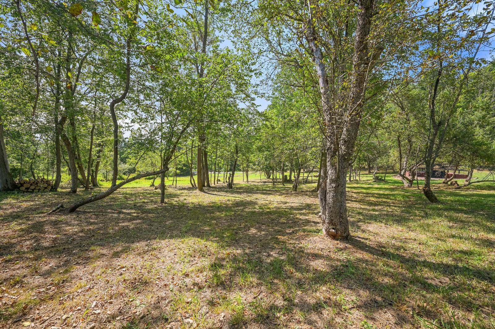 #46 photo, L55 Arnold Rd, Preston Hollow , NY 12469