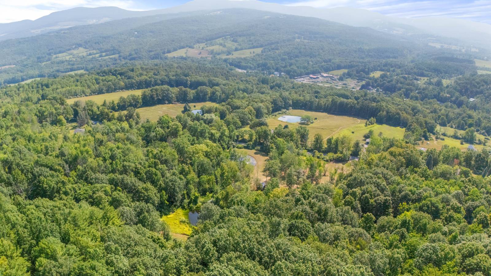 #55 photo, L55 Arnold Rd, Preston Hollow , NY 12469